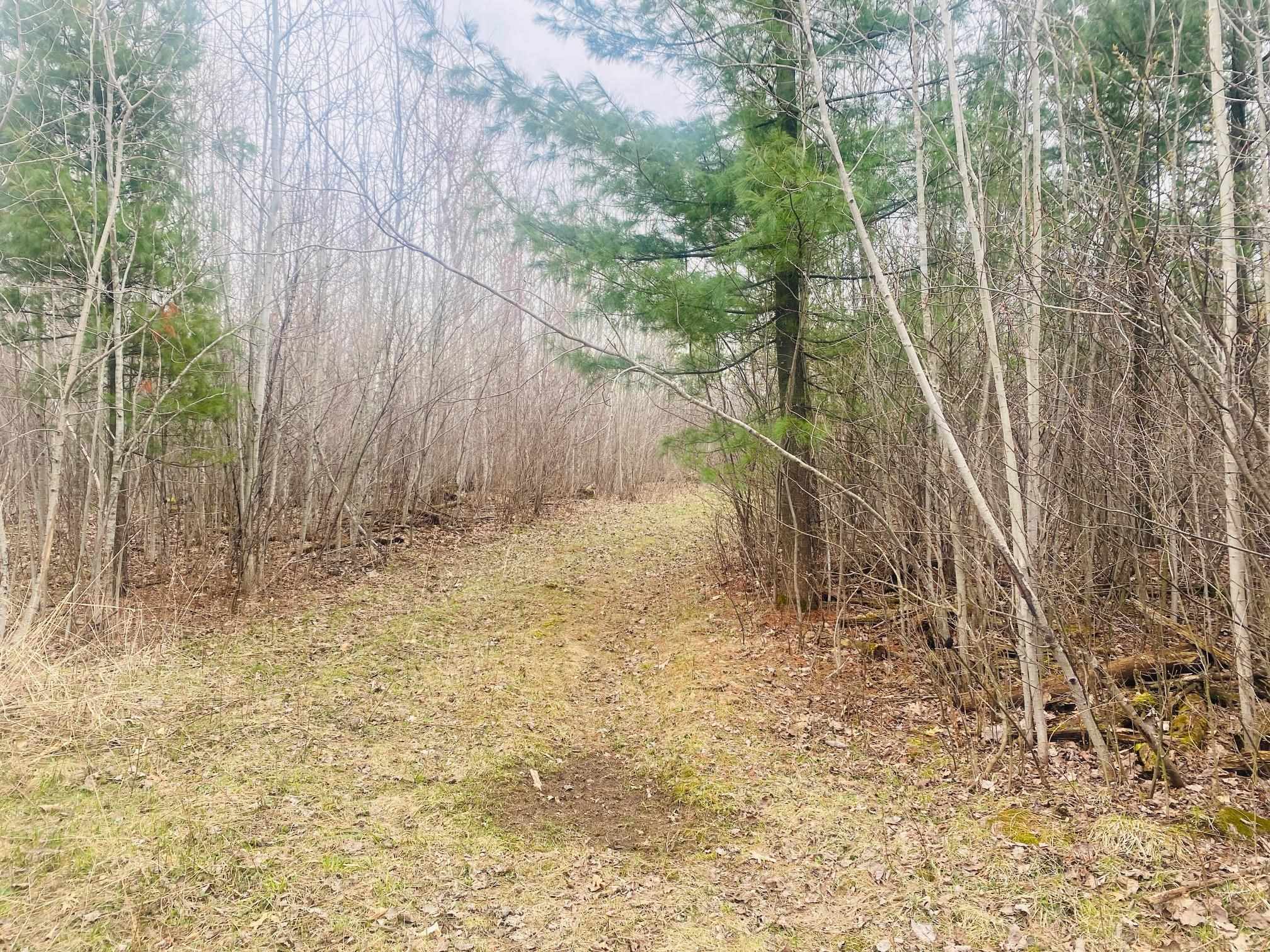 42.53A COUNTY ROAD Q, Amherst Junction, Wisconsin 54407, ,Land,For Sale,42.53A COUNTY ROAD Q,22501700