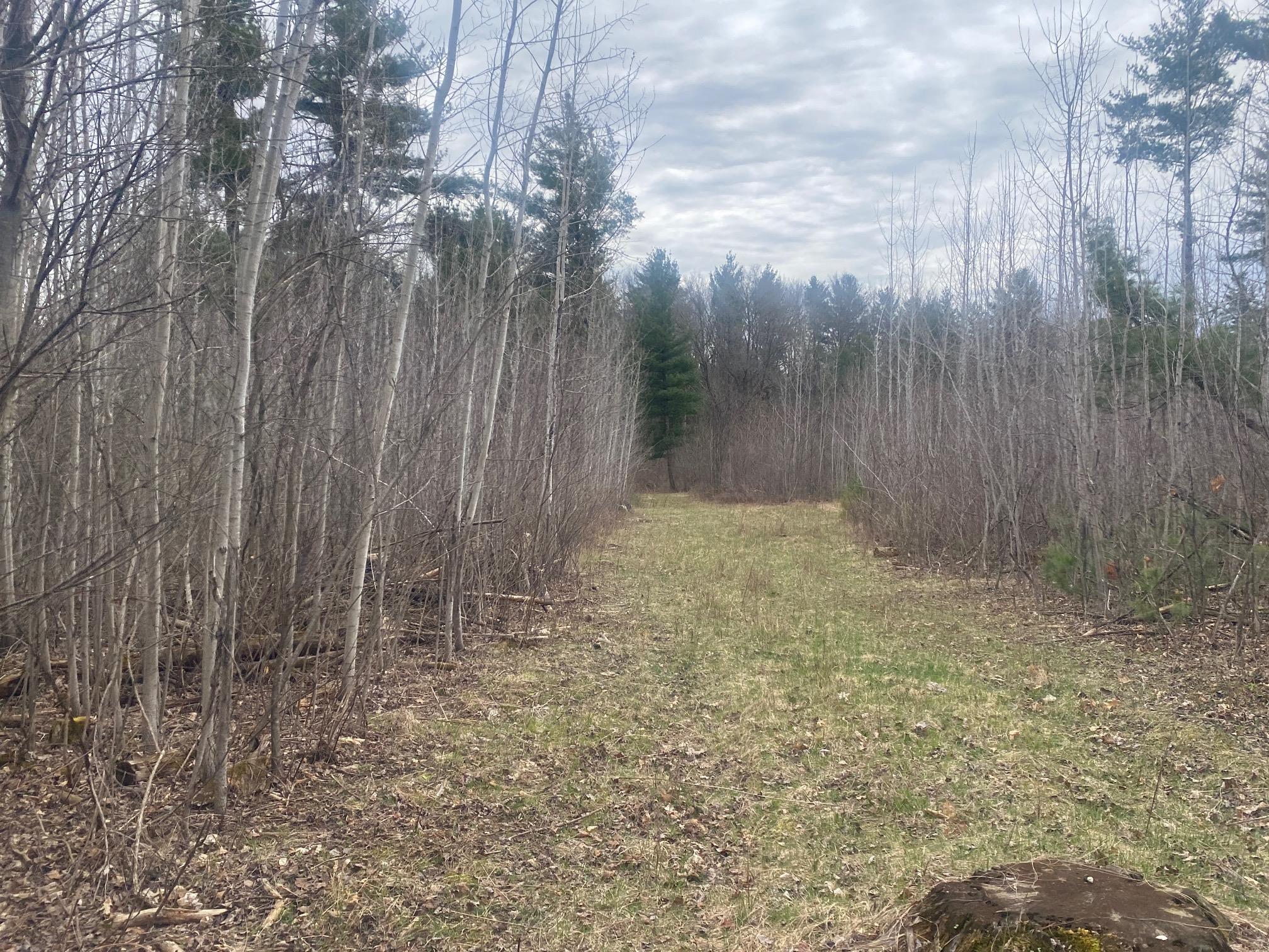 42.53A COUNTY ROAD Q, Amherst Junction, Wisconsin 54407, ,Land,For Sale,42.53A COUNTY ROAD Q,22501700