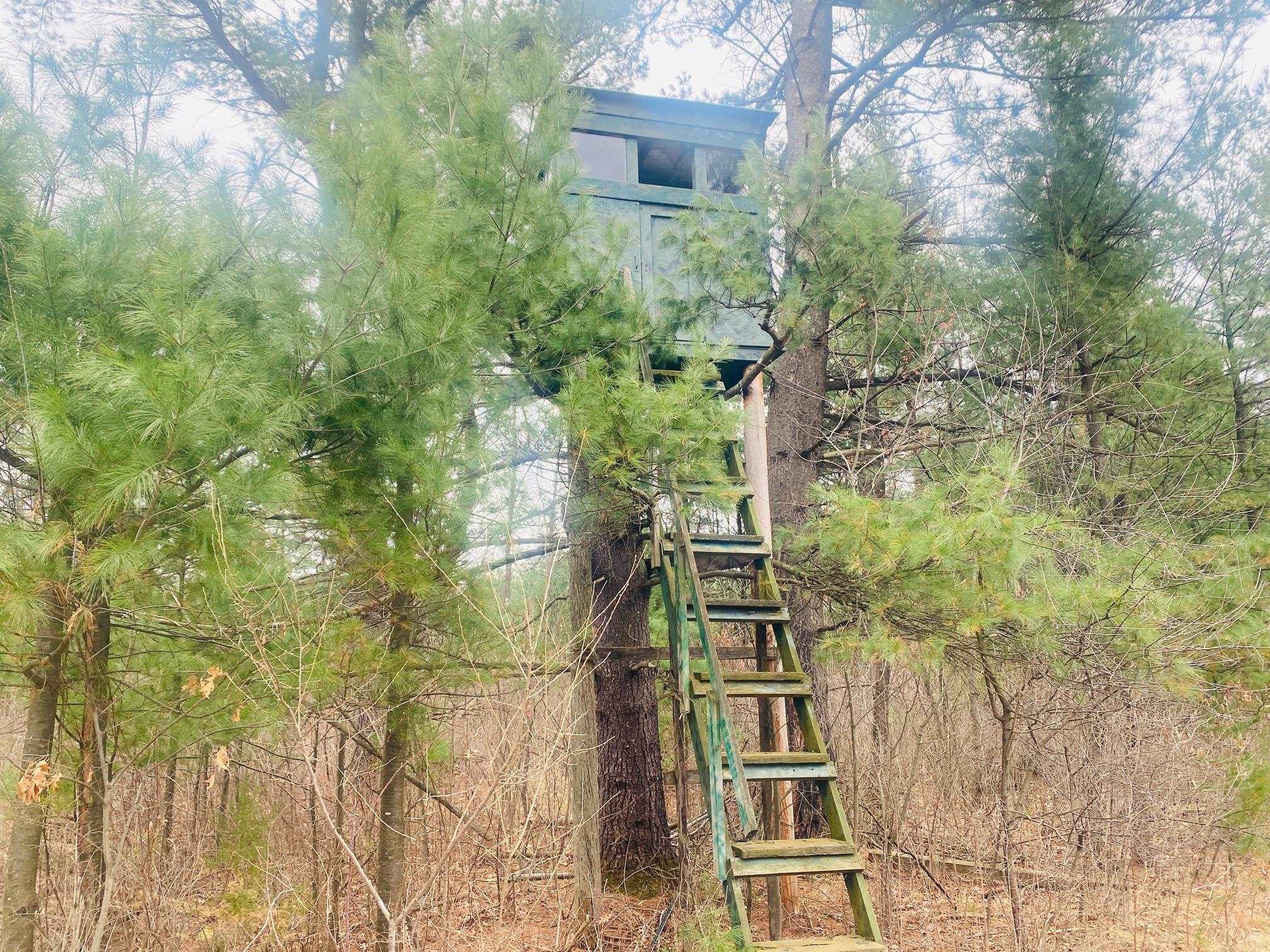 42.53A COUNTY ROAD Q, Amherst Junction, Wisconsin 54407, ,Land,For Sale,42.53A COUNTY ROAD Q,22501700