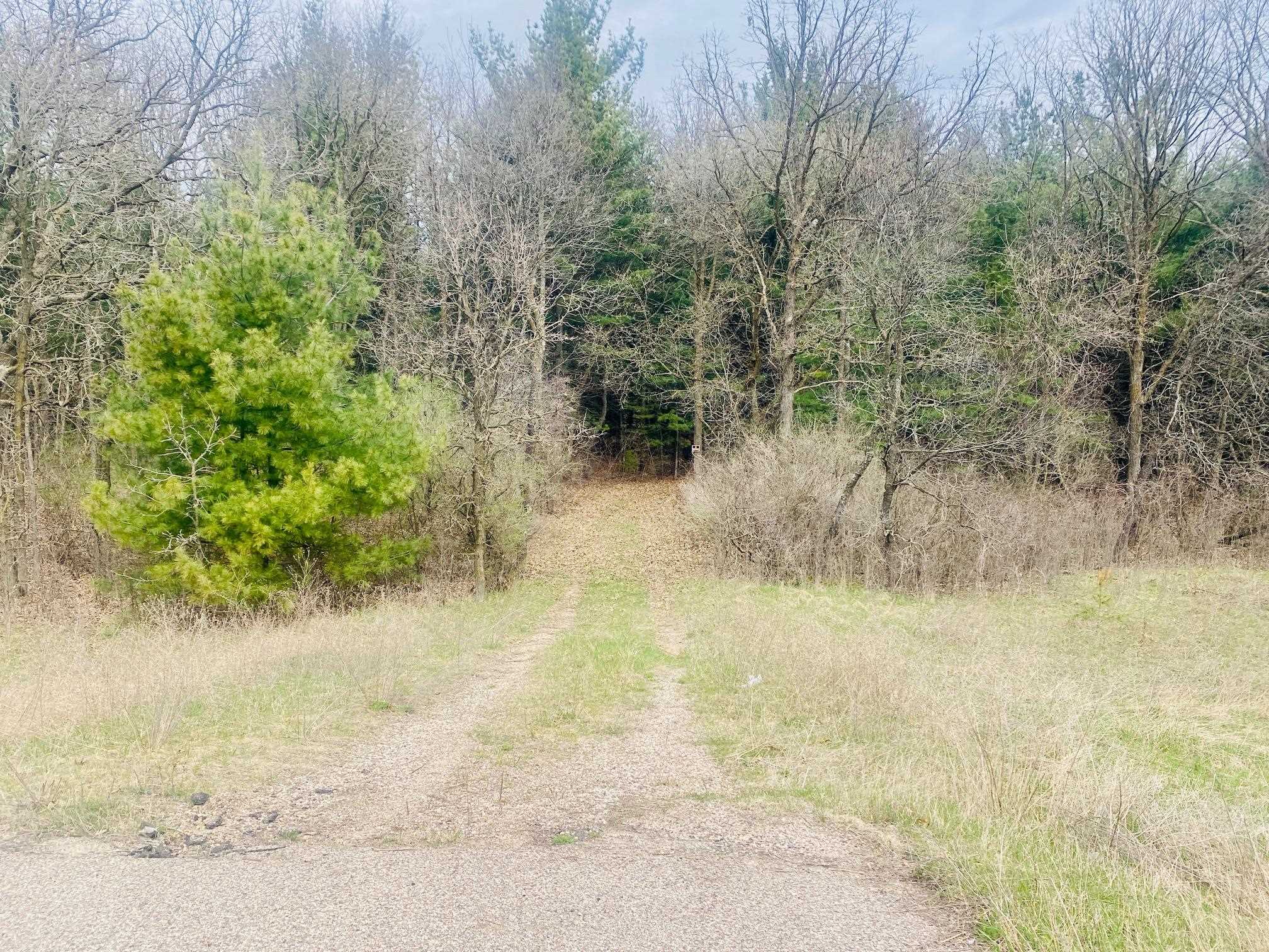 42.53A COUNTY ROAD Q, Amherst Junction, Wisconsin 54407, ,Land,For Sale,42.53A COUNTY ROAD Q,22501700