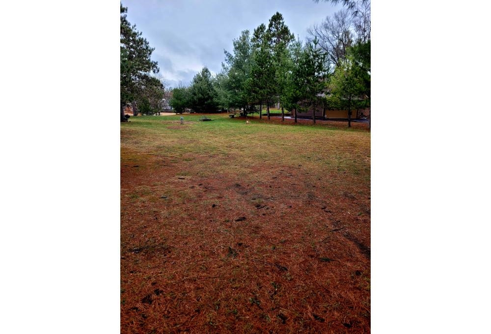 377 LEEDS COURT, Nekoosa, Wisconsin 54457, ,Land,For Sale,377 LEEDS COURT,22501719