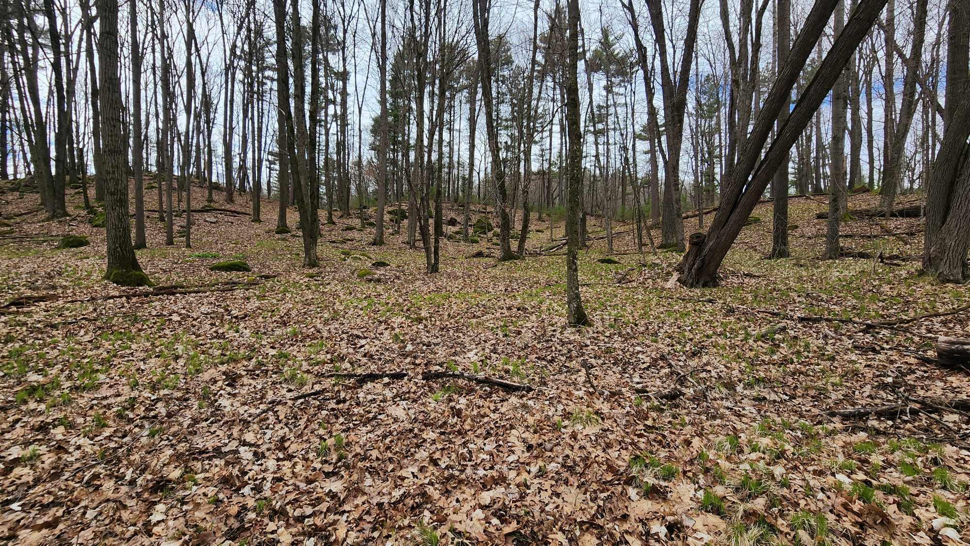 2720 LINDEN ROAD, Rosholt, Wisconsin 54473, ,Land,For Sale,2720 LINDEN ROAD,22501774