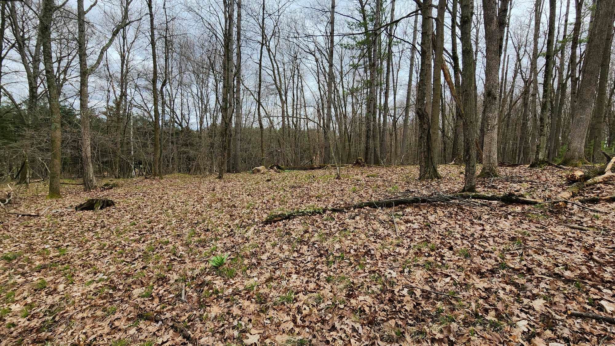 2720 LINDEN ROAD, Rosholt, Wisconsin 54473, ,Land,For Sale,2720 LINDEN ROAD,22501774