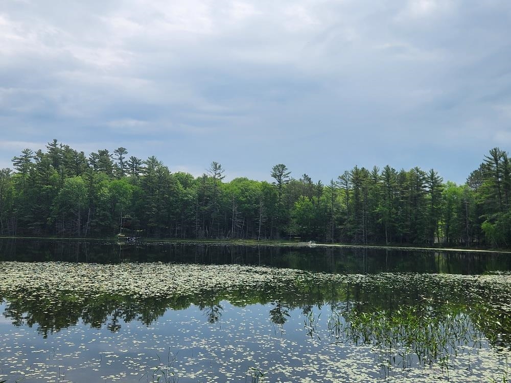 5912 W TWIN LAKE ROAD, Hazelhurst, Wisconsin 54531, ,Land,For Sale,5912 W TWIN LAKE ROAD,22501785