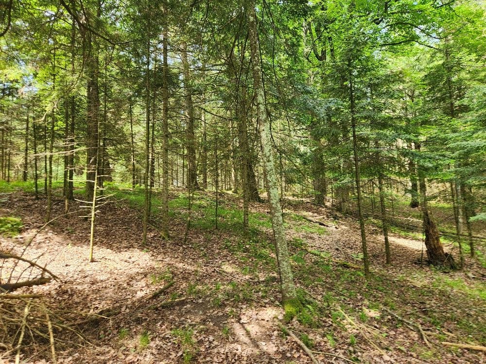 5912 W TWIN LAKE ROAD, Hazelhurst, Wisconsin 54531, ,Land,For Sale,5912 W TWIN LAKE ROAD,22501785