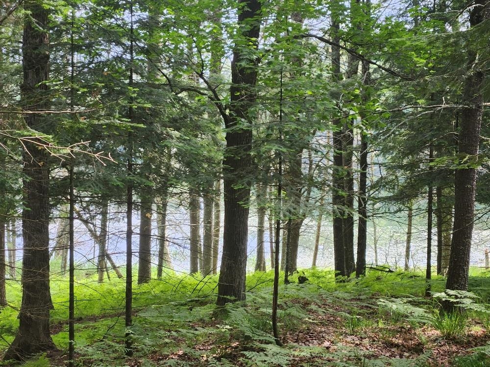 5912 W TWIN LAKE ROAD, Hazelhurst, Wisconsin 54531, ,Land,For Sale,5912 W TWIN LAKE ROAD,22501785