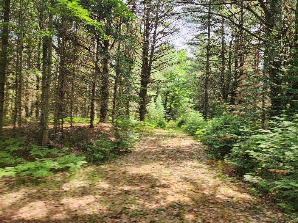 5912 W TWIN LAKE ROAD, Hazelhurst, Wisconsin 54531, ,Land,For Sale,5912 W TWIN LAKE ROAD,22501785