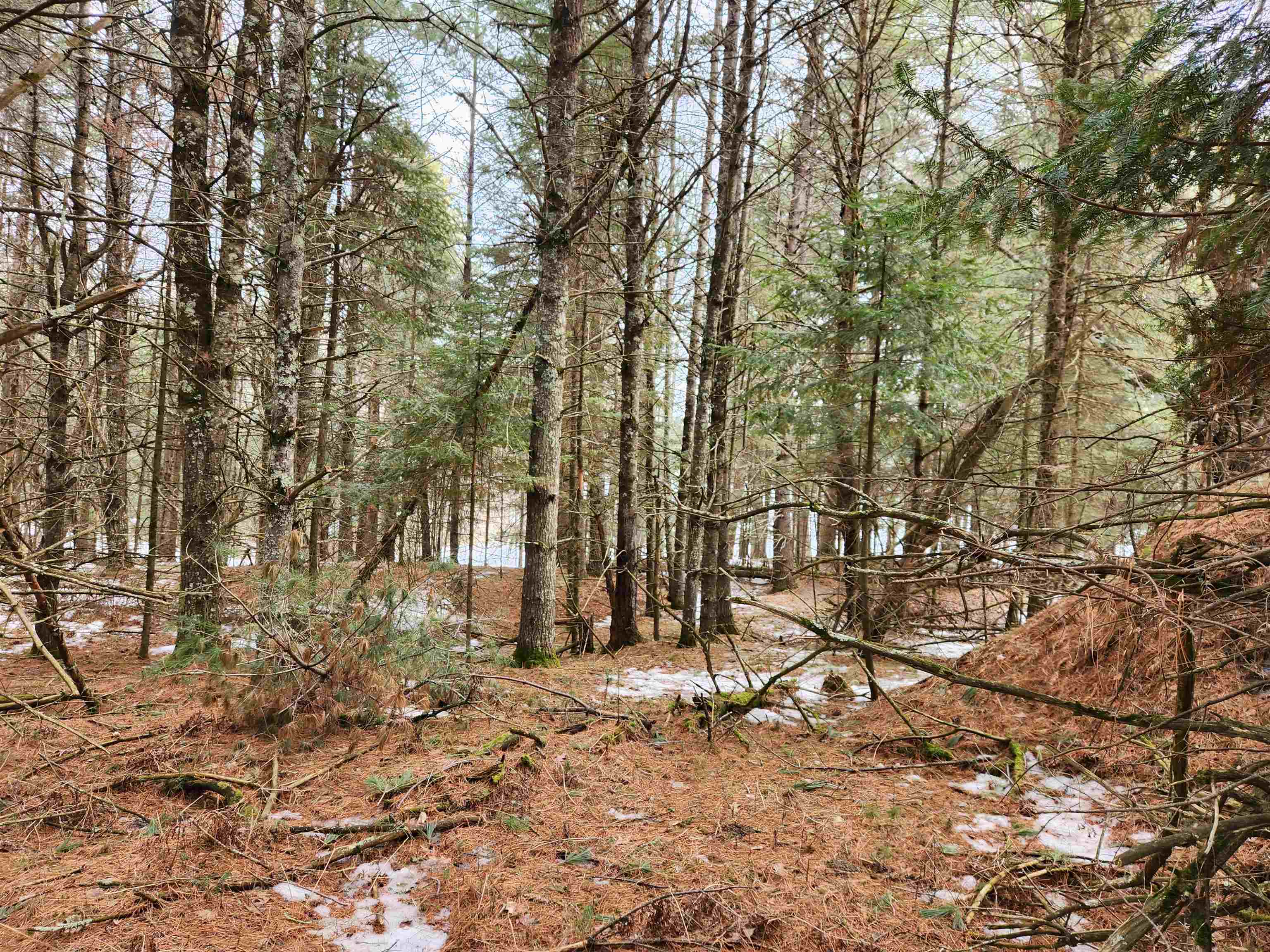 5912 W TWIN LAKE ROAD, Hazelhurst, Wisconsin 54531, ,Land,For Sale,5912 W TWIN LAKE ROAD,22501785