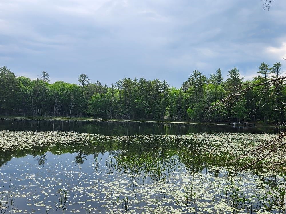 5912 W TWIN LAKE ROAD, Hazelhurst, Wisconsin 54531, ,Land,For Sale,5912 W TWIN LAKE ROAD,22501785