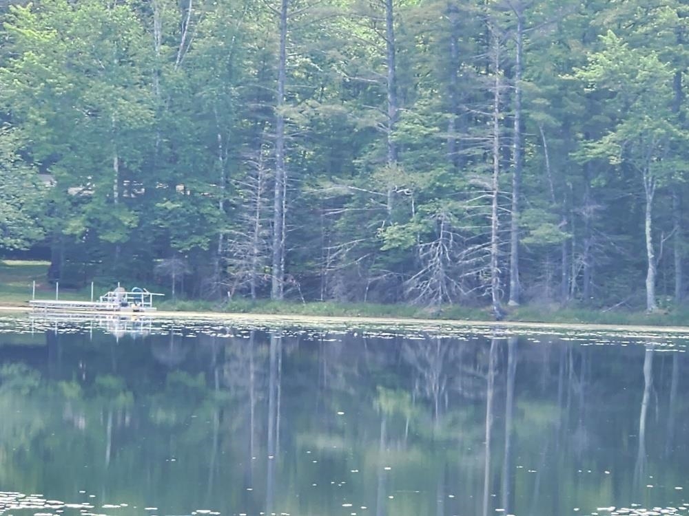 5912 W TWIN LAKE ROAD, Hazelhurst, Wisconsin 54531, ,Land,For Sale,5912 W TWIN LAKE ROAD,22501785