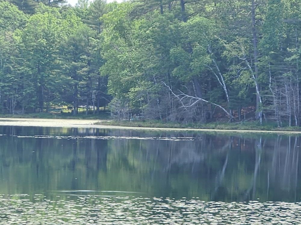 5912 W TWIN LAKE ROAD, Hazelhurst, Wisconsin 54531, ,Land,For Sale,5912 W TWIN LAKE ROAD,22501785