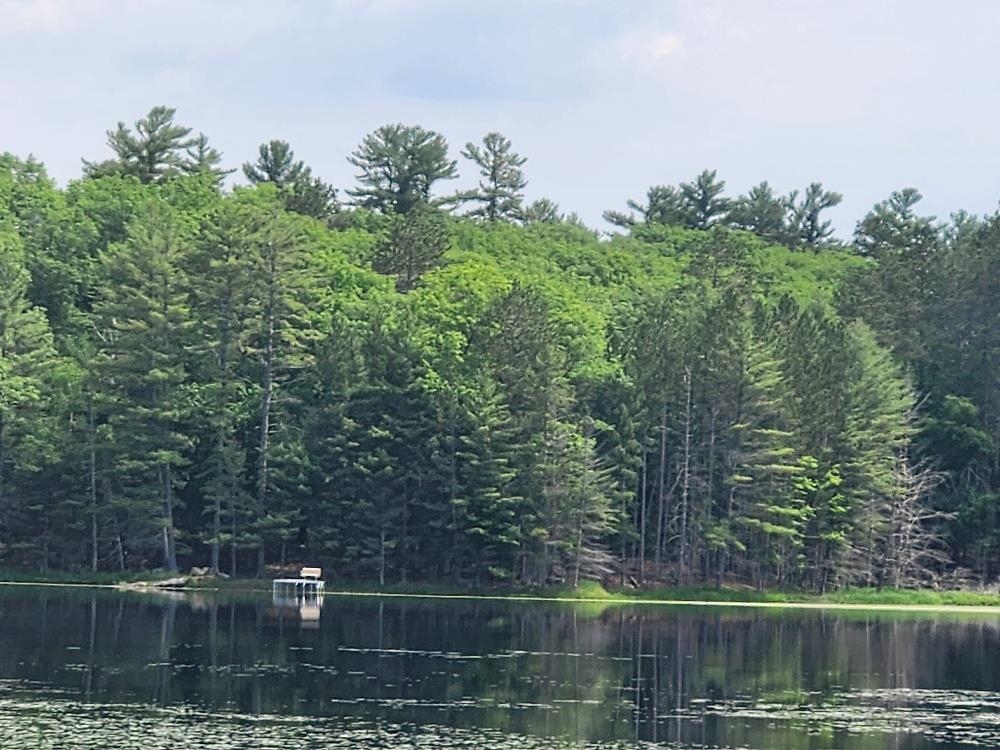 5912 W TWIN LAKE ROAD, Hazelhurst, Wisconsin 54531, ,Land,For Sale,5912 W TWIN LAKE ROAD,22501785