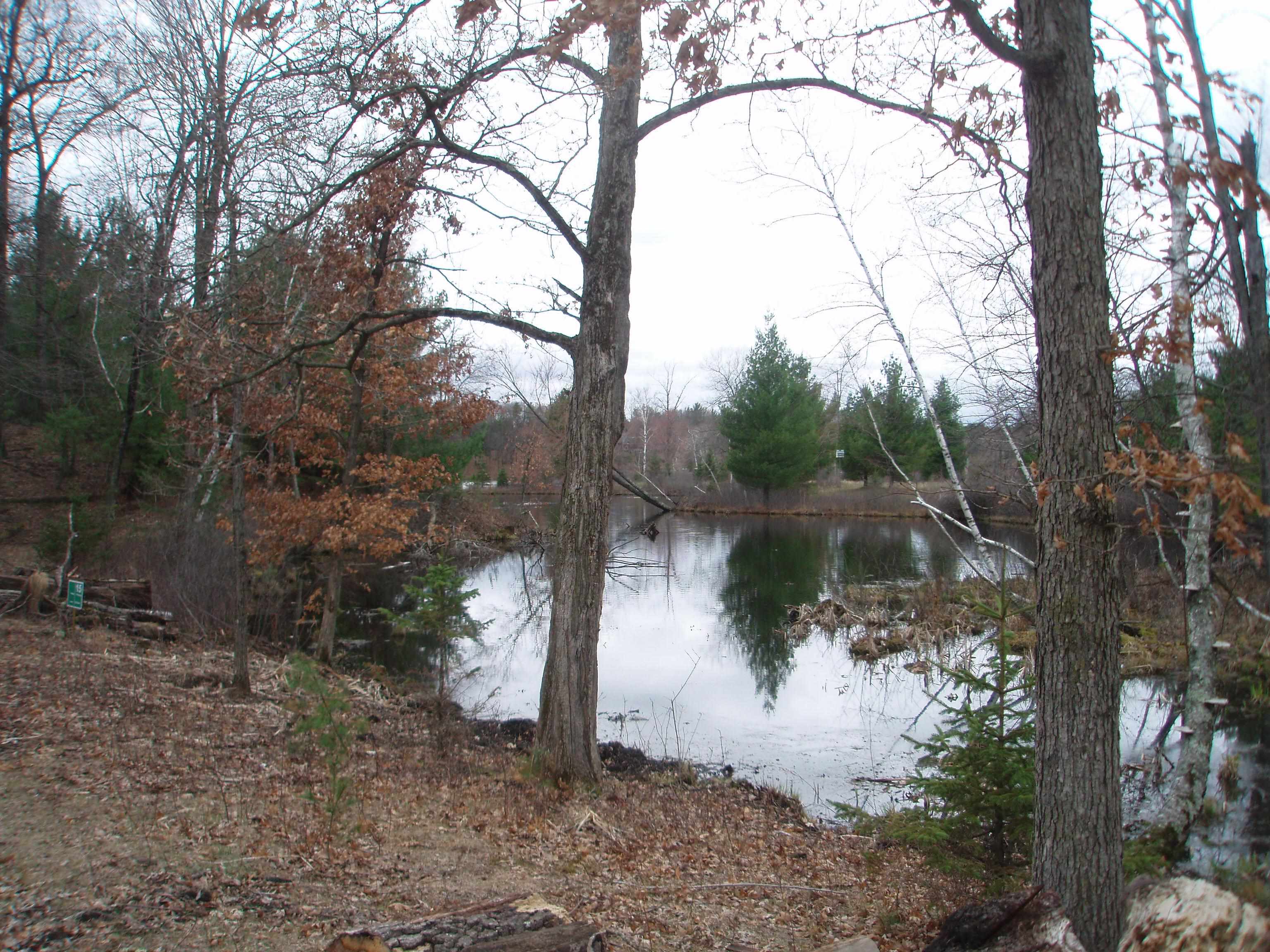 Lot 15 WOOD DUCK TRAIL, Wisconsin Rapids, Wisconsin 54494, ,Land,For Sale,Lot 15 WOOD DUCK TRAIL,22501854