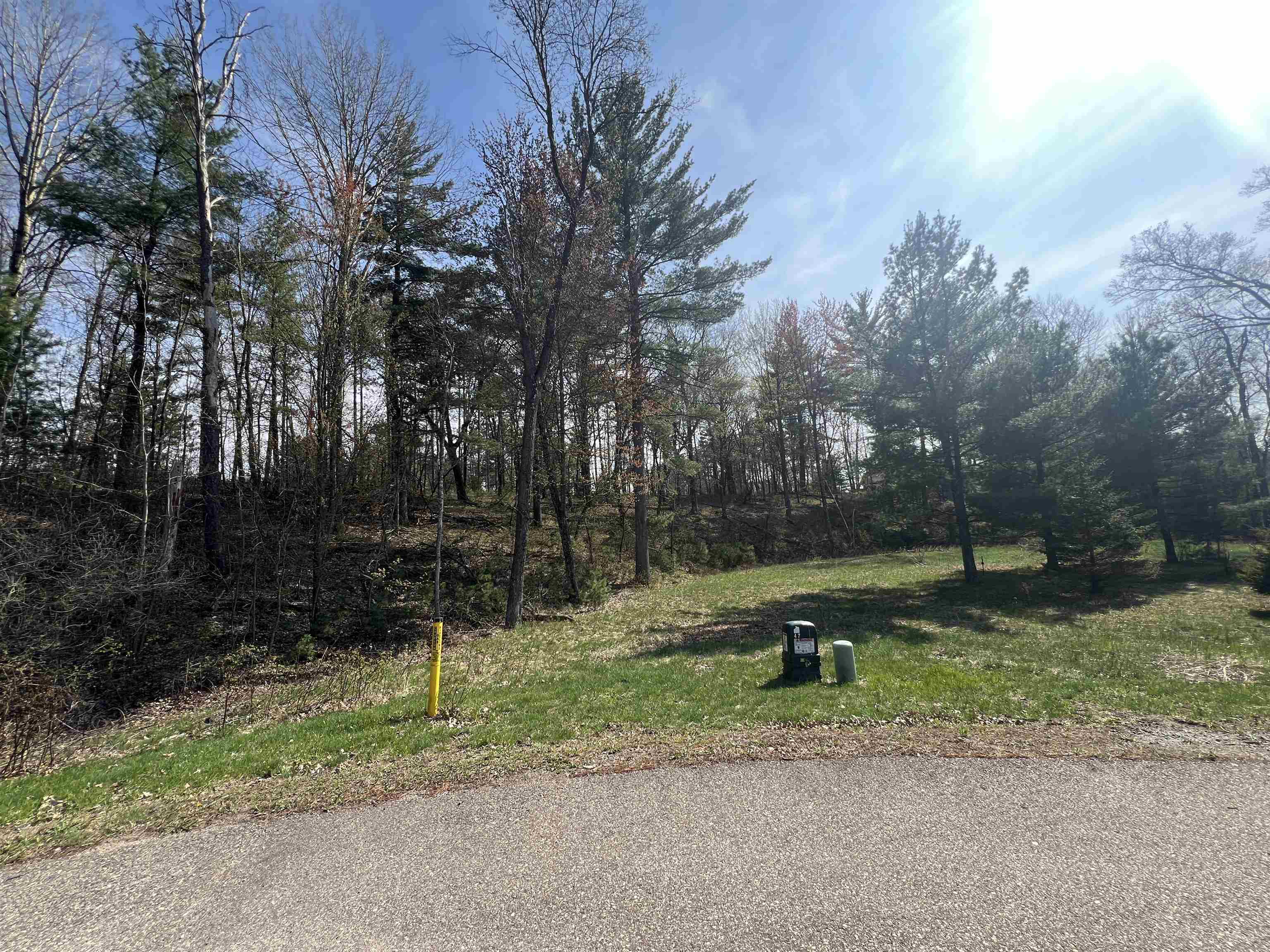 Lot 15 WOOD DUCK TRAIL, Wisconsin Rapids, Wisconsin 54494, ,Land,For Sale,Lot 15 WOOD DUCK TRAIL,22501854