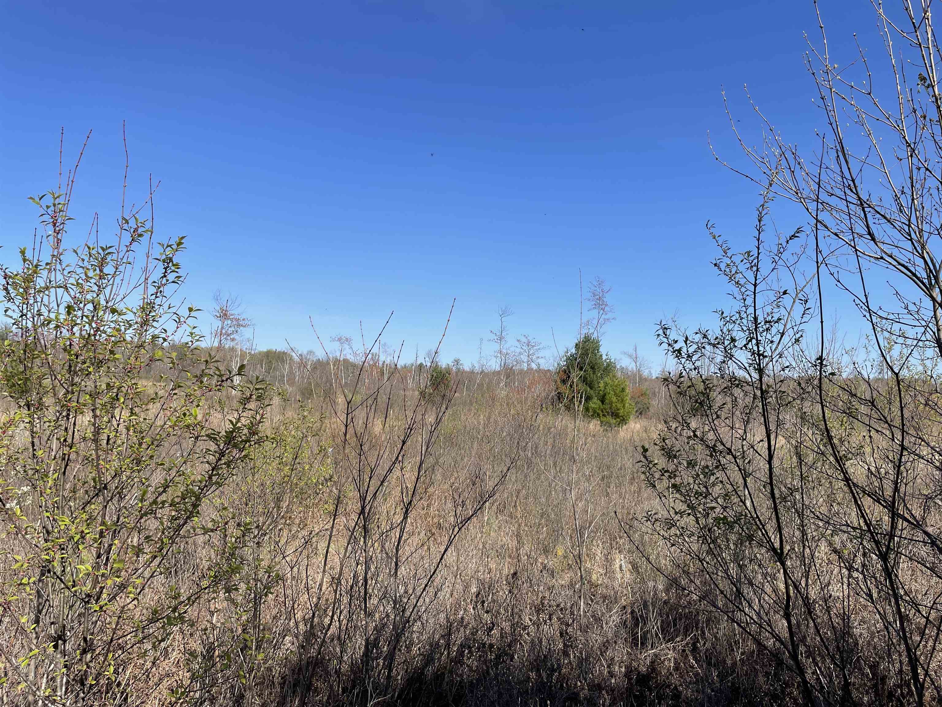 N12220 10TH AVENUE, Necedah, Wisconsin 54646, ,Land,For Sale,N12220 10TH AVENUE,22501866