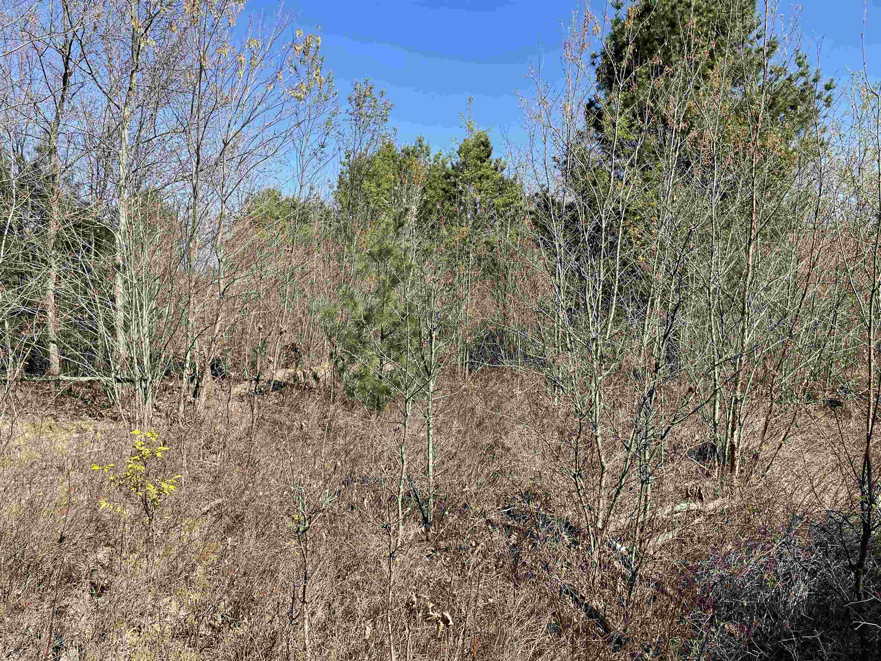 N12220 10TH AVENUE, Necedah, Wisconsin 54646, ,Land,For Sale,N12220 10TH AVENUE,22501866