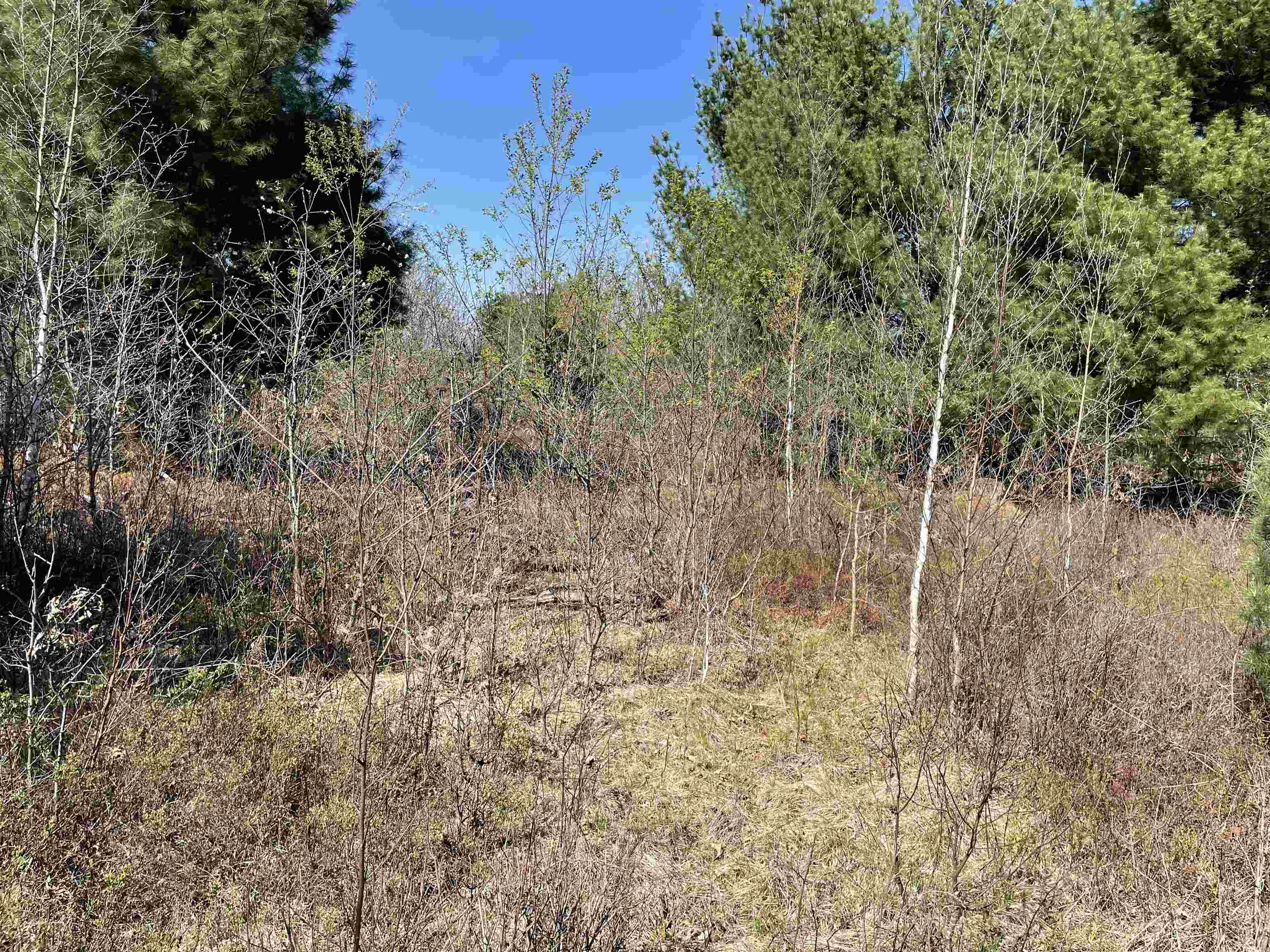 N12220 10TH AVENUE, Necedah, Wisconsin 54646, ,Land,For Sale,N12220 10TH AVENUE,22501866