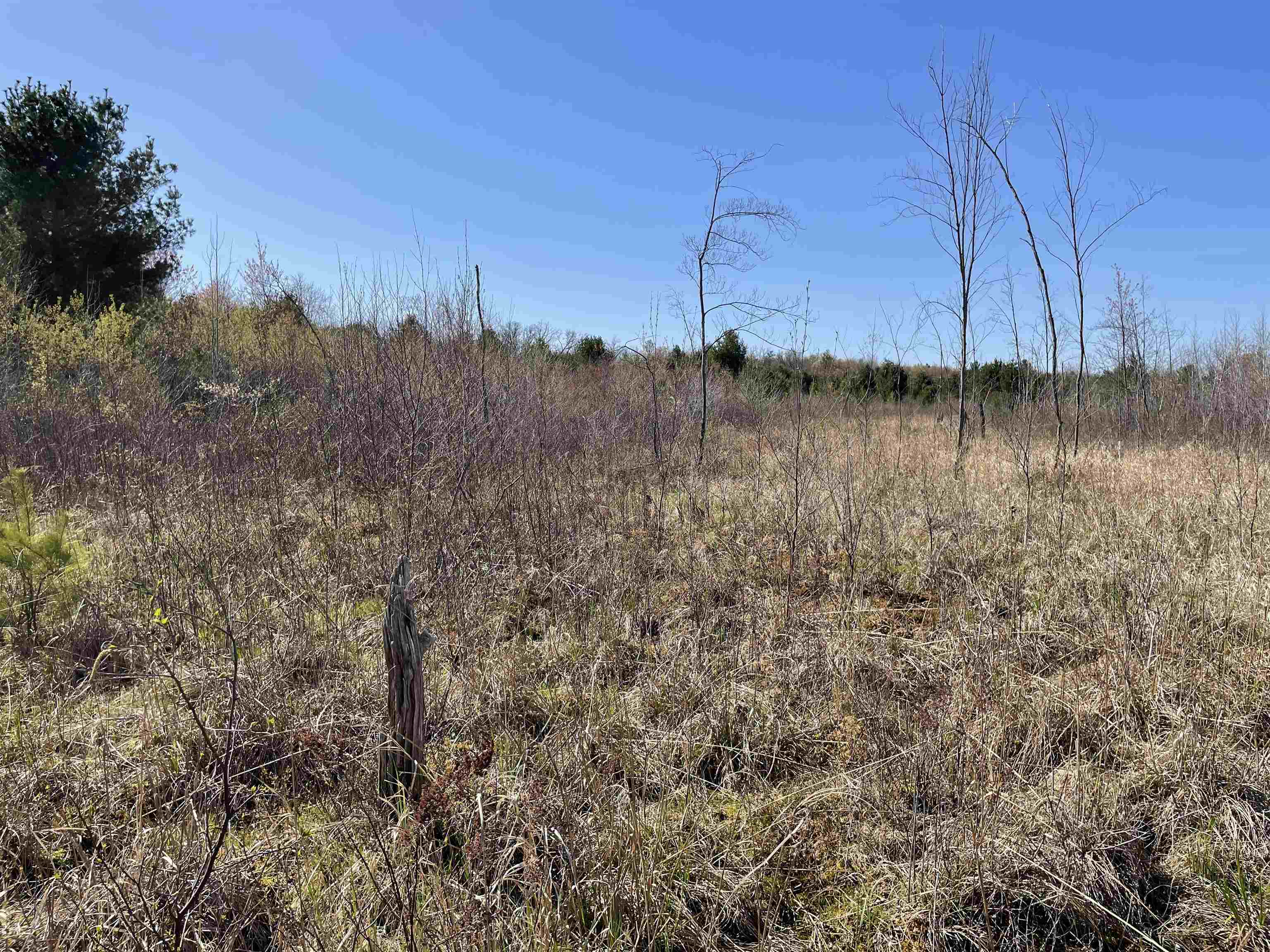 N12220 10TH AVENUE, Necedah, Wisconsin 54646, ,Land,For Sale,N12220 10TH AVENUE,22501866