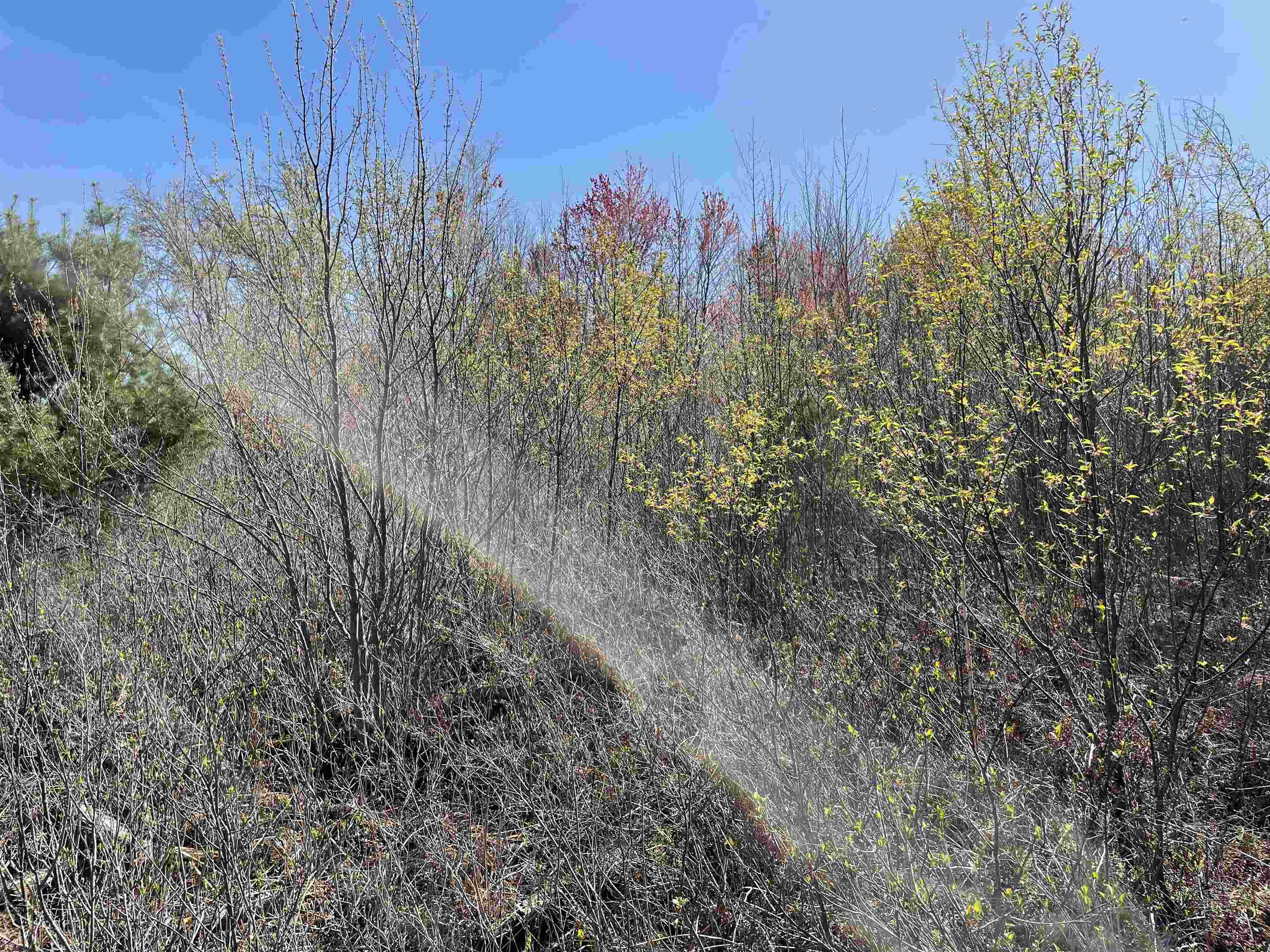N12220 10TH AVENUE, Necedah, Wisconsin 54646, ,Land,For Sale,N12220 10TH AVENUE,22501866