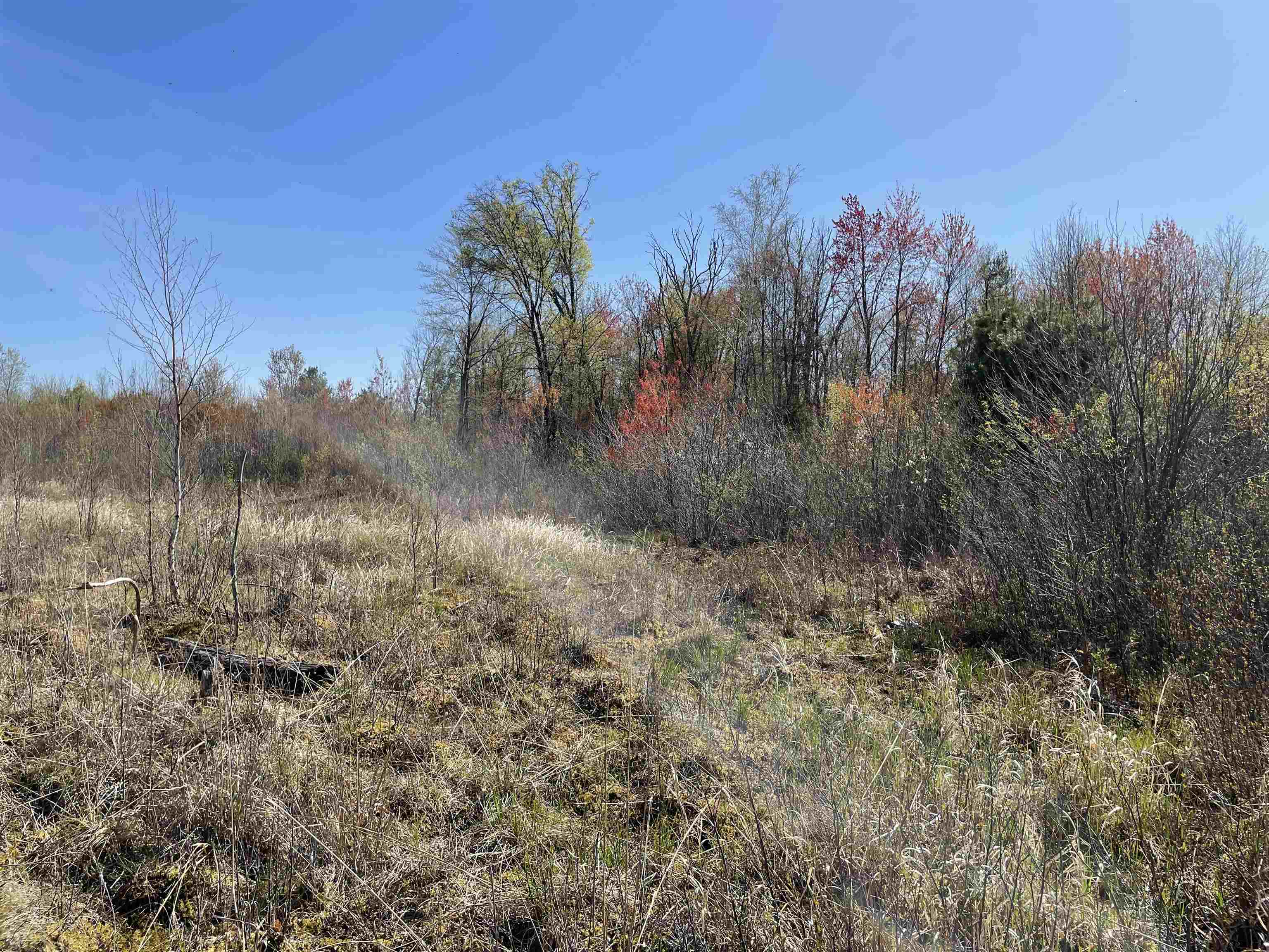 N12220 10TH AVENUE, Necedah, Wisconsin 54646, ,Land,For Sale,N12220 10TH AVENUE,22501866