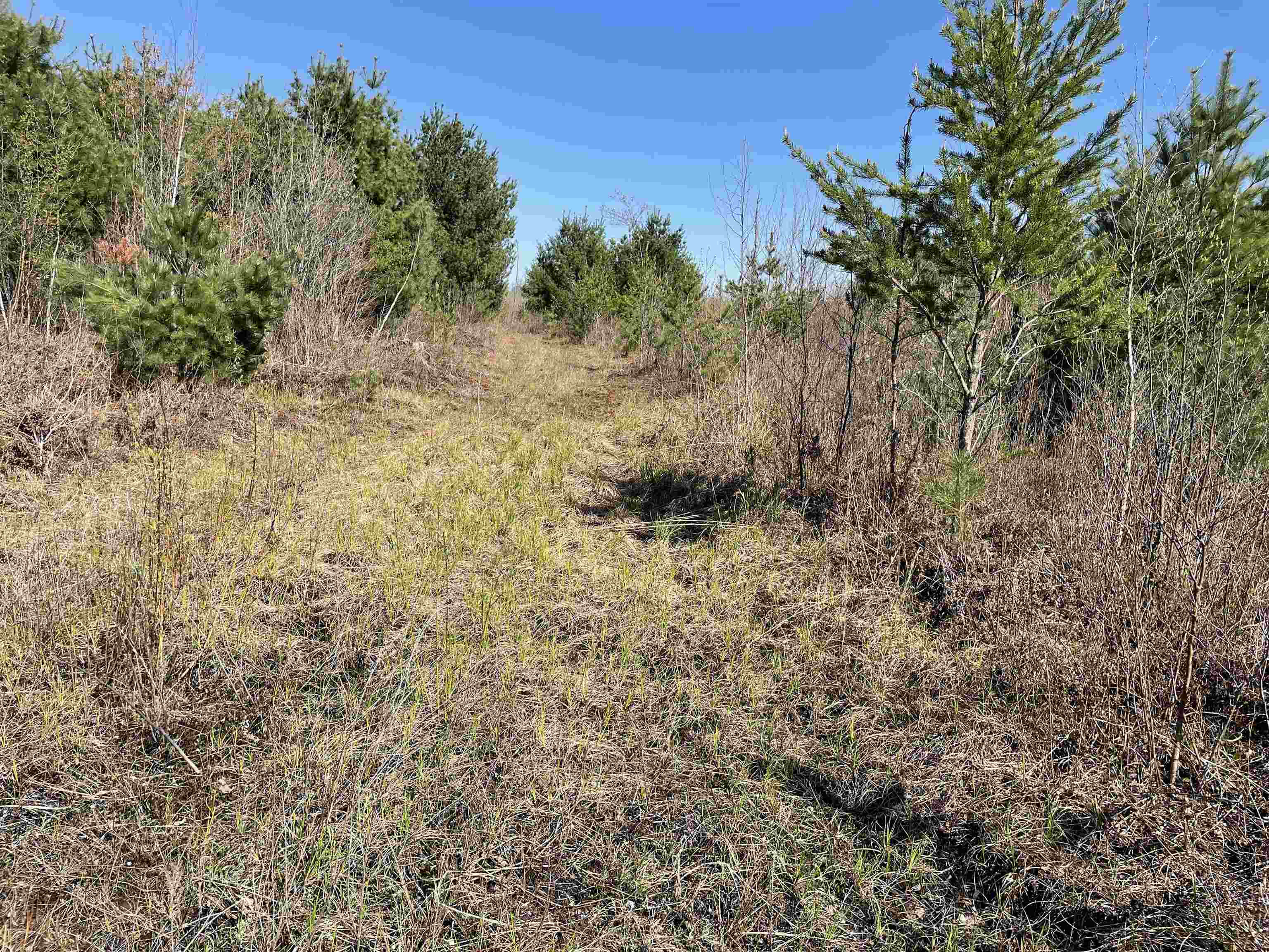 N12220 10TH AVENUE, Necedah, Wisconsin 54646, ,Land,For Sale,N12220 10TH AVENUE,22501866