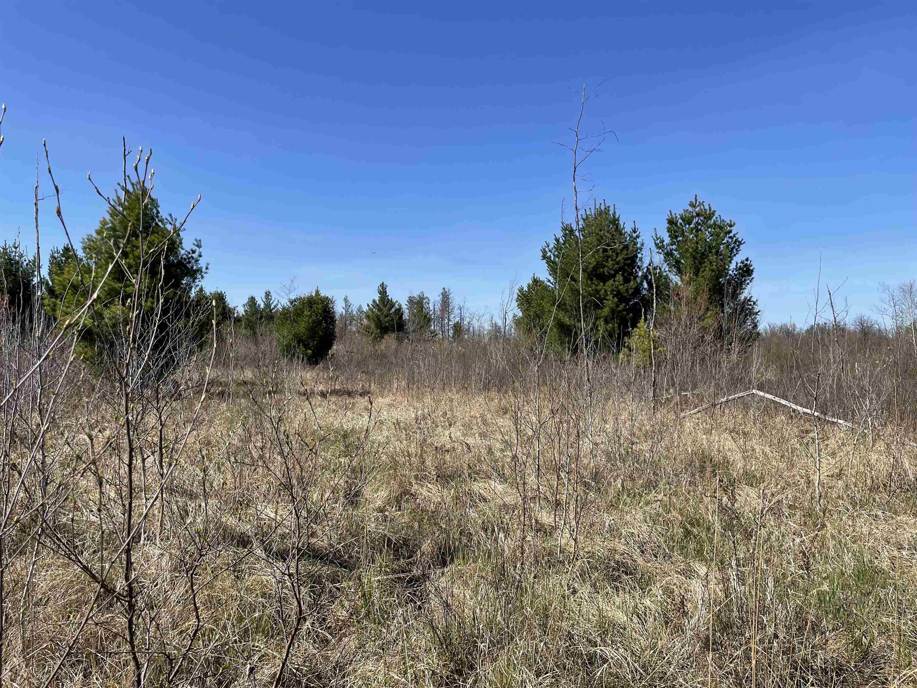 N12220 10TH AVENUE, Necedah, Wisconsin 54646, ,Land,For Sale,N12220 10TH AVENUE,22501866