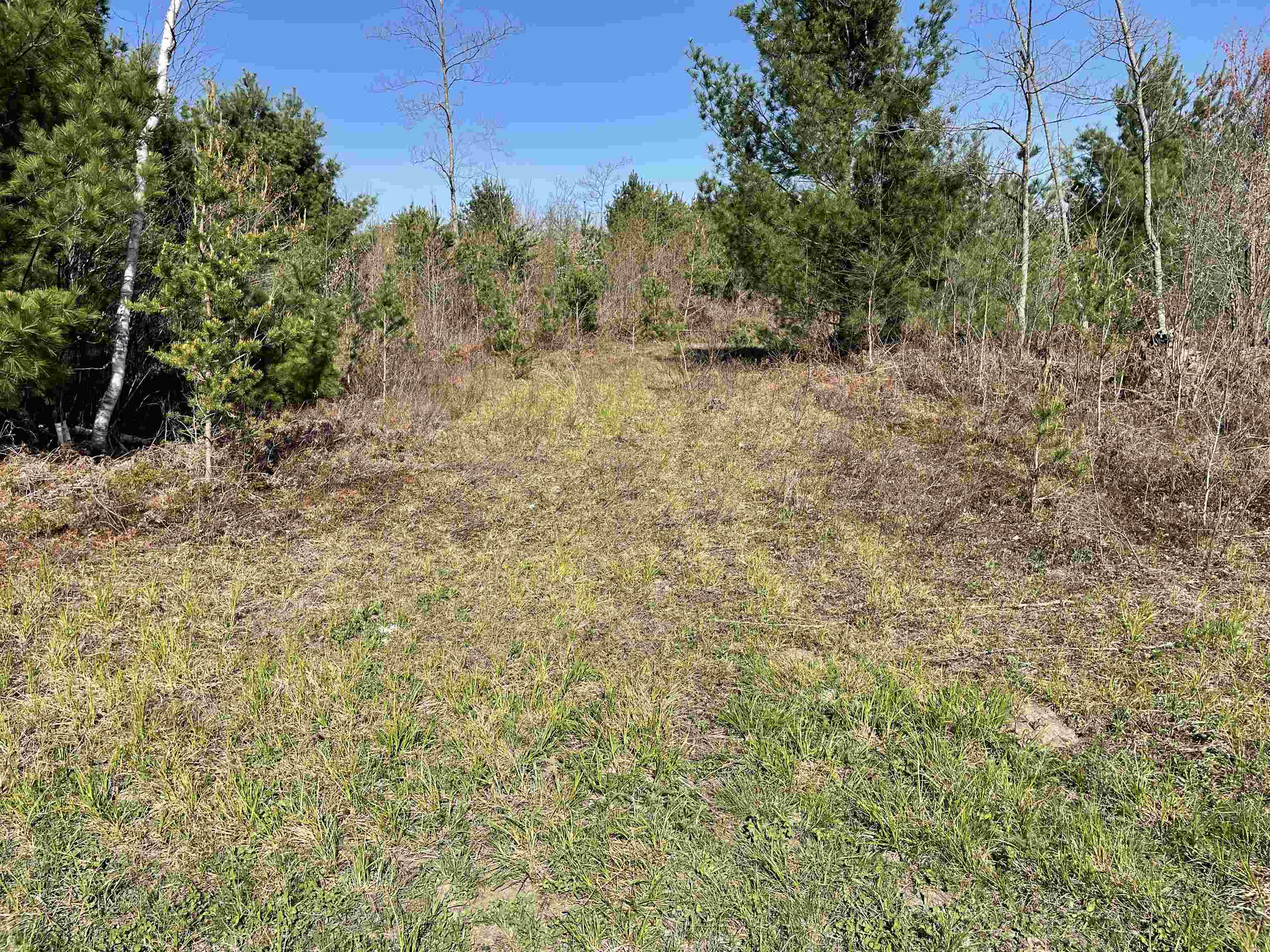 N12220 10TH AVENUE, Necedah, Wisconsin 54646, ,Land,For Sale,N12220 10TH AVENUE,22501866
