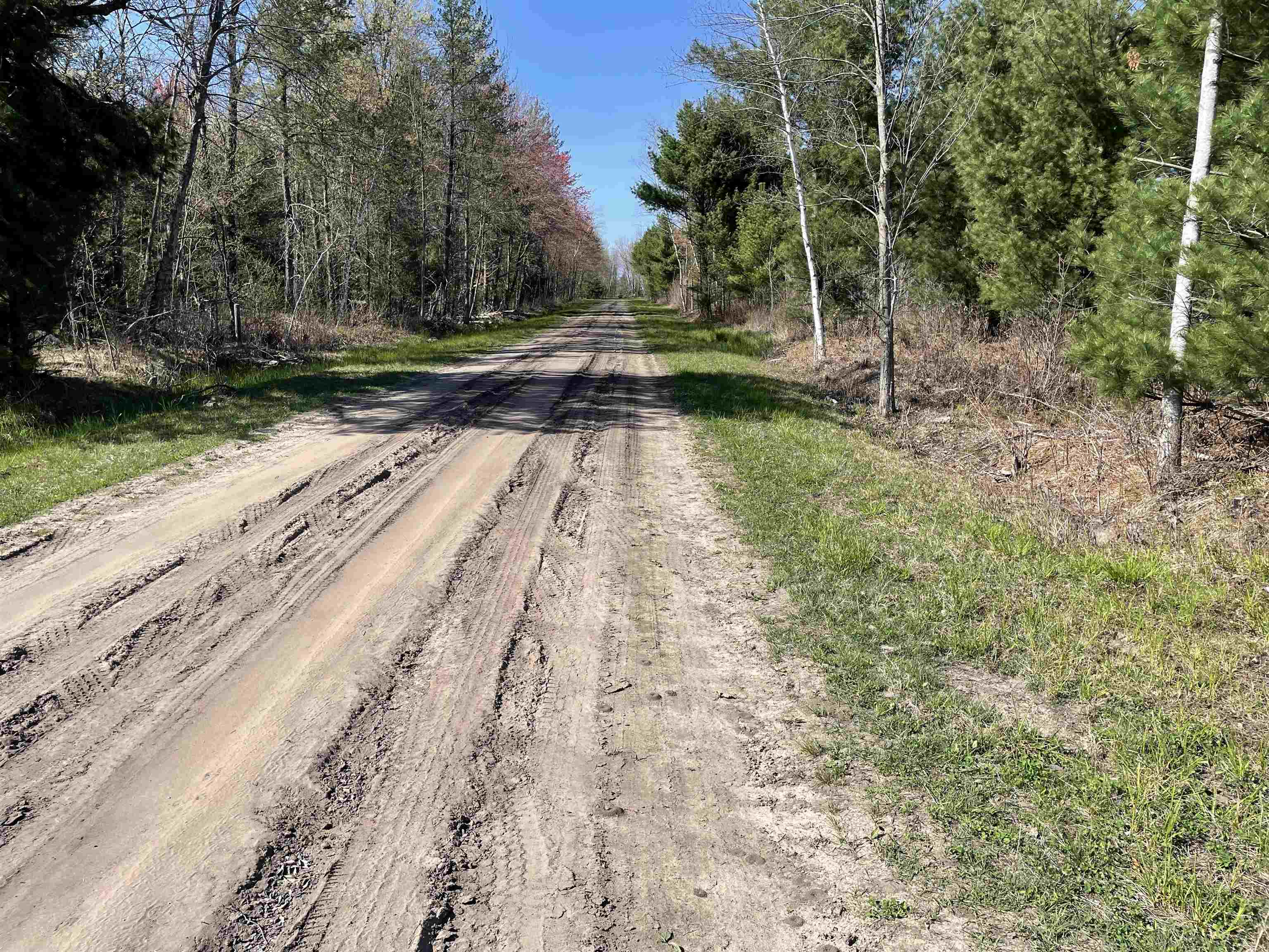 N12220 10TH AVENUE, Necedah, Wisconsin 54646, ,Land,For Sale,N12220 10TH AVENUE,22501866