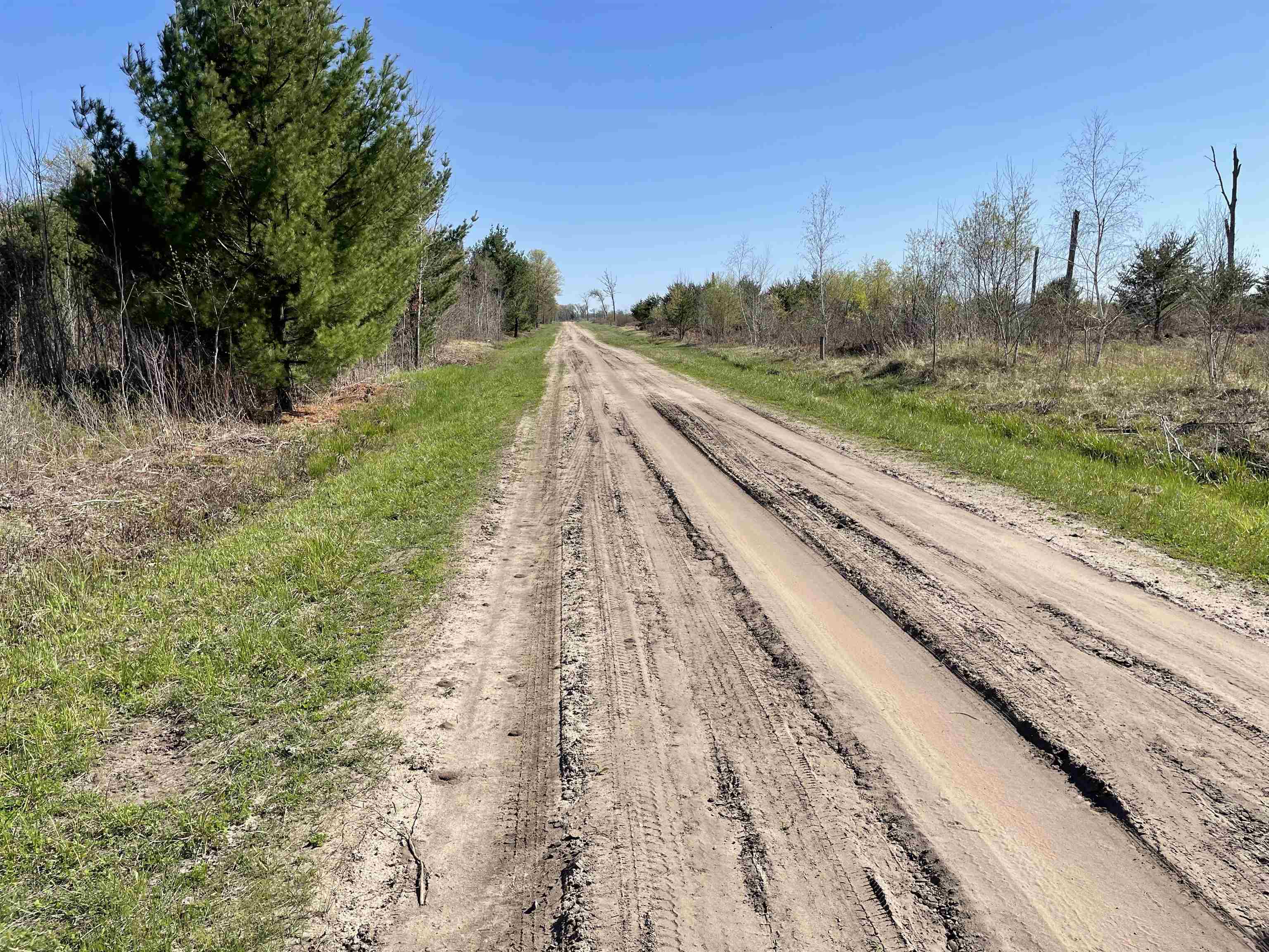 N12220 10TH AVENUE, Necedah, Wisconsin 54646, ,Land,For Sale,N12220 10TH AVENUE,22501866