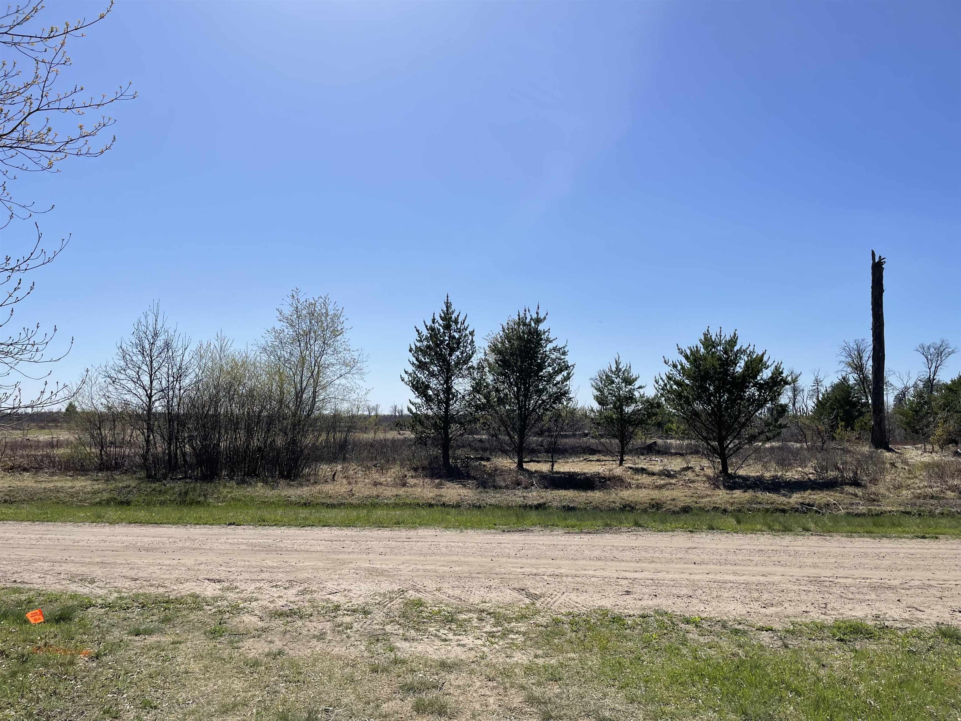 N12220 10TH AVENUE, Necedah, Wisconsin 54646, ,Land,For Sale,N12220 10TH AVENUE,22501866