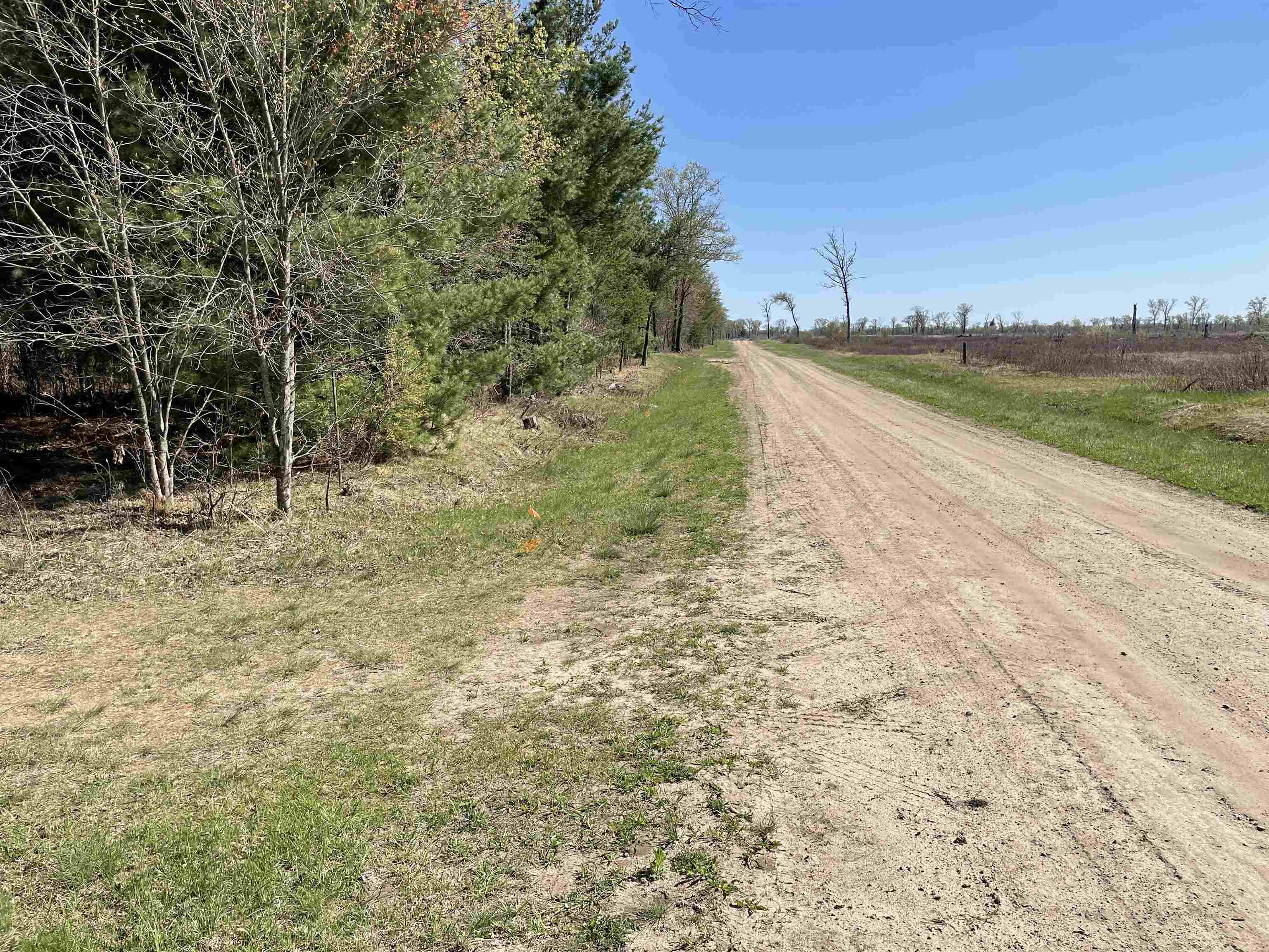 N12220 10TH AVENUE, Necedah, Wisconsin 54646, ,Land,For Sale,N12220 10TH AVENUE,22501866