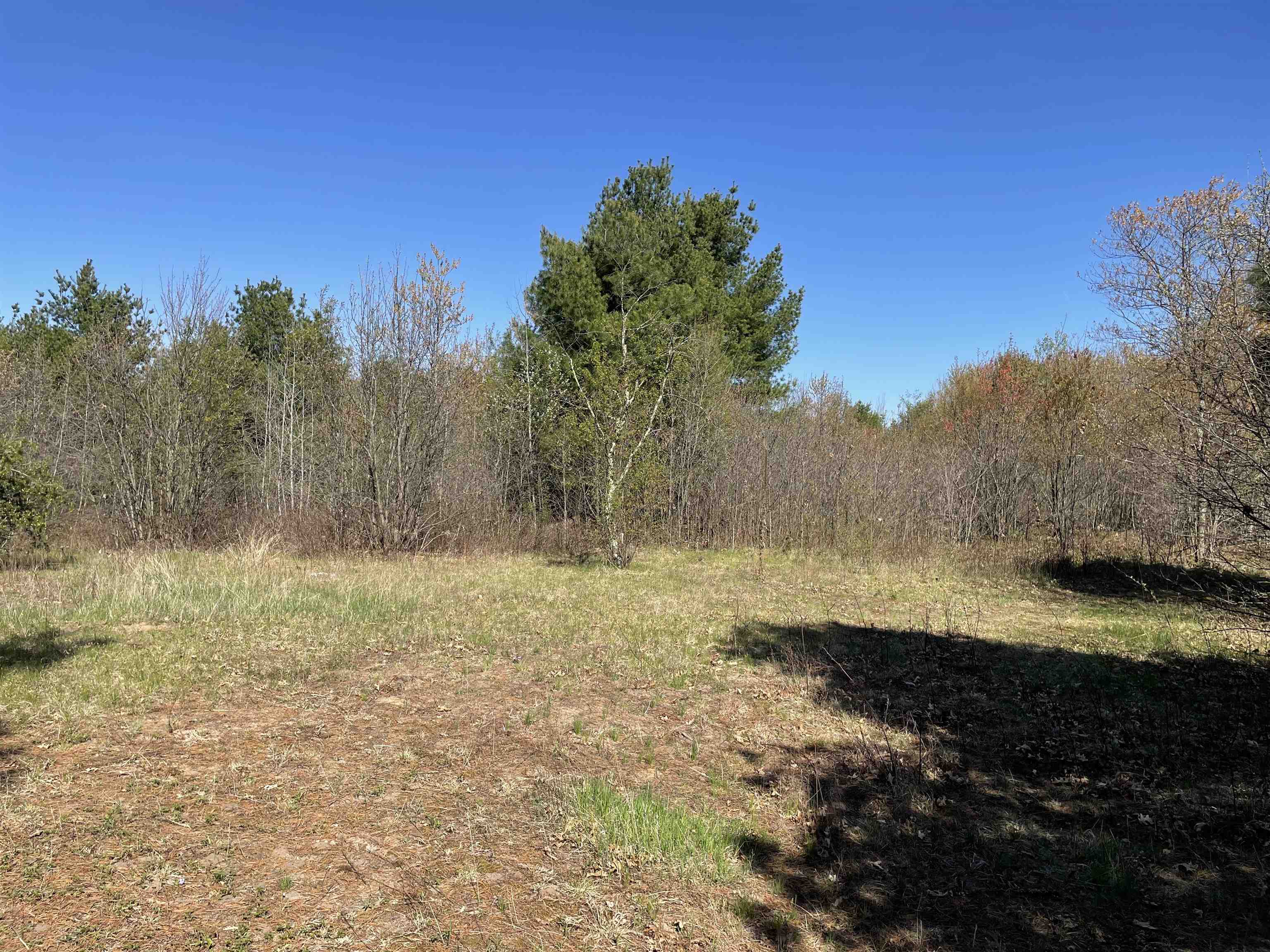 N12220 10TH AVENUE, Necedah, Wisconsin 54646, ,Land,For Sale,N12220 10TH AVENUE,22501866