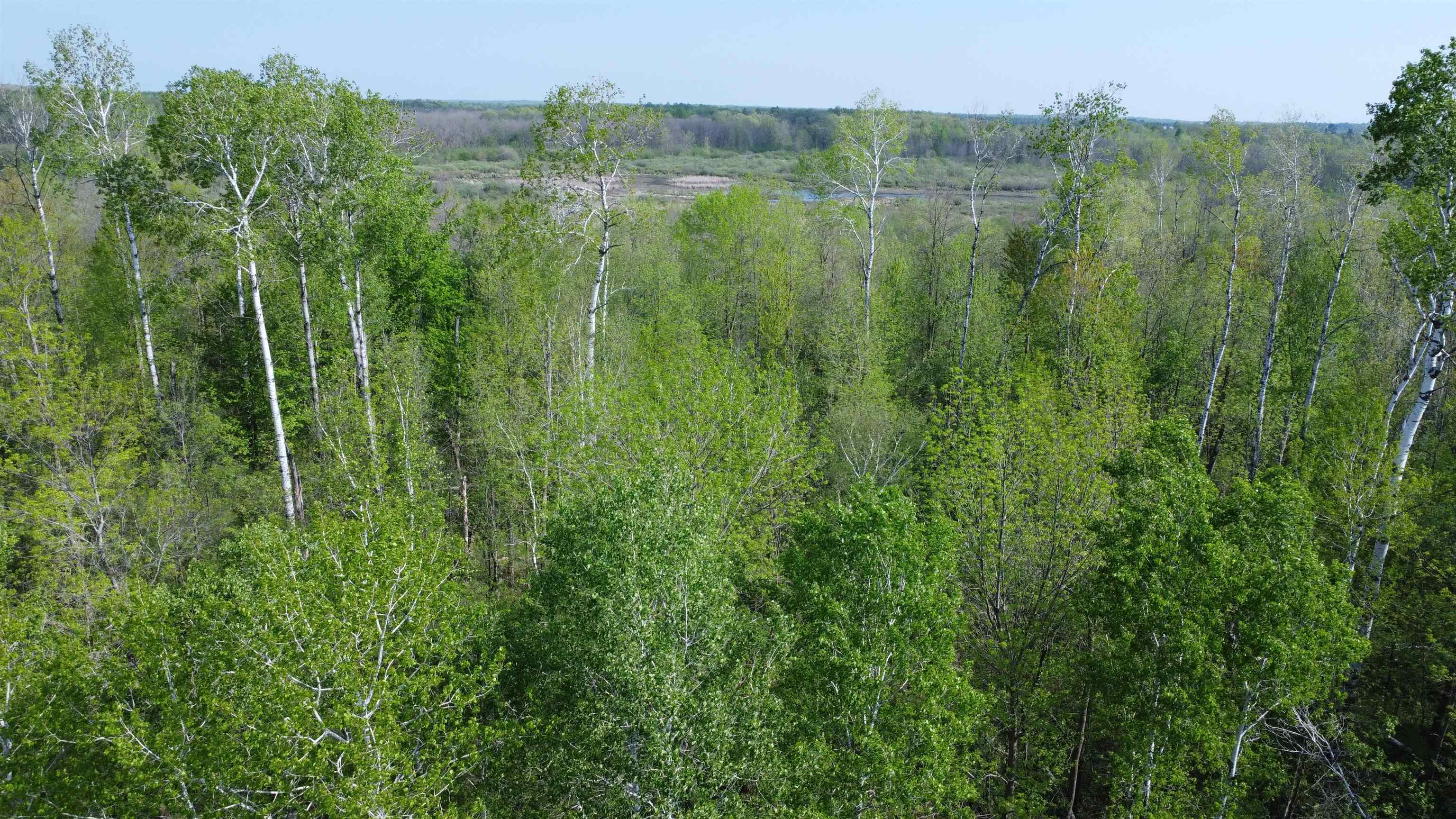 186TH AVENUE, Boyd, Wisconsin 54726, ,Land,For Sale,186TH AVENUE,22501960