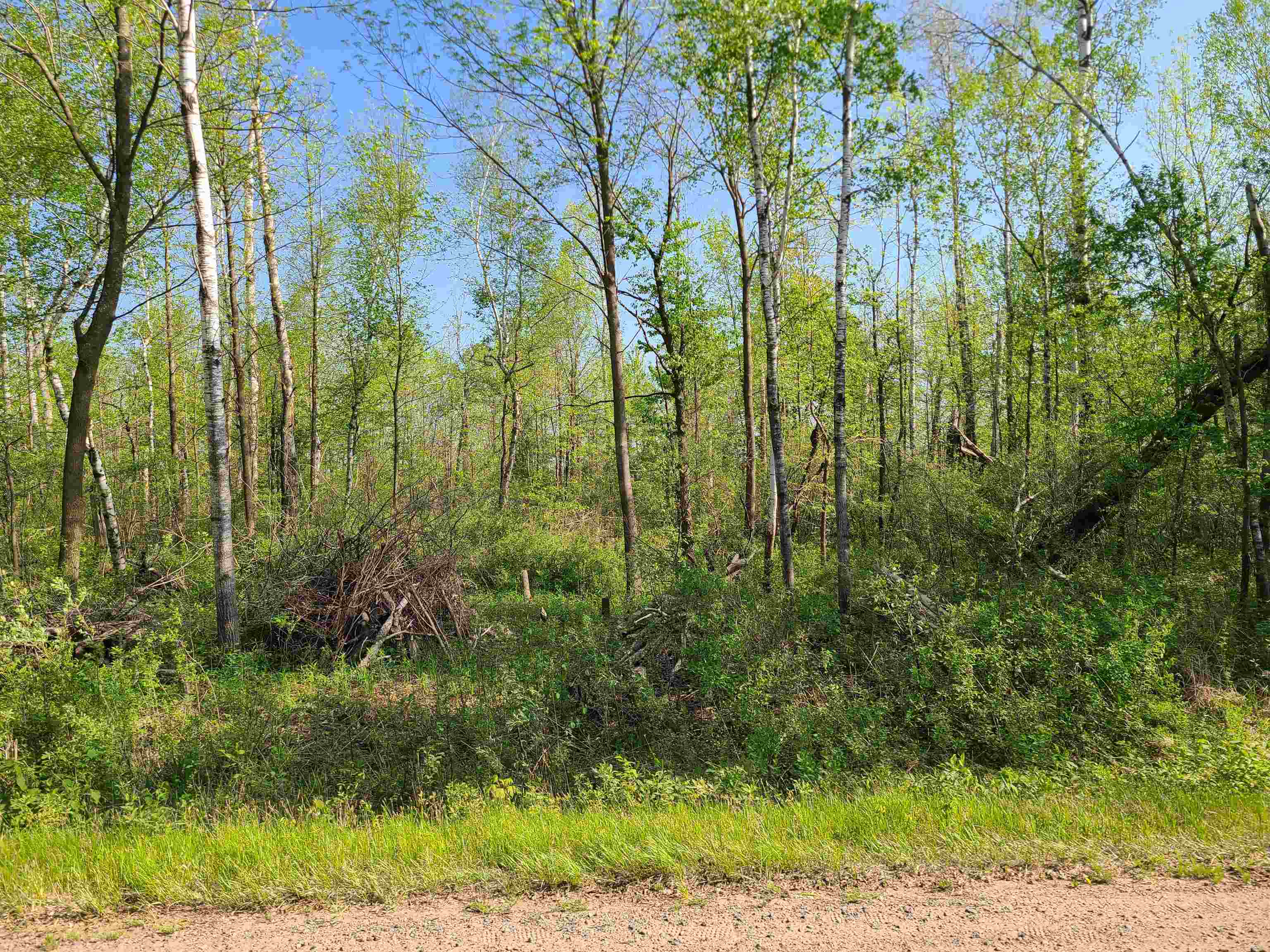 186TH AVENUE, Boyd, Wisconsin 54726, ,Land,For Sale,186TH AVENUE,22501960