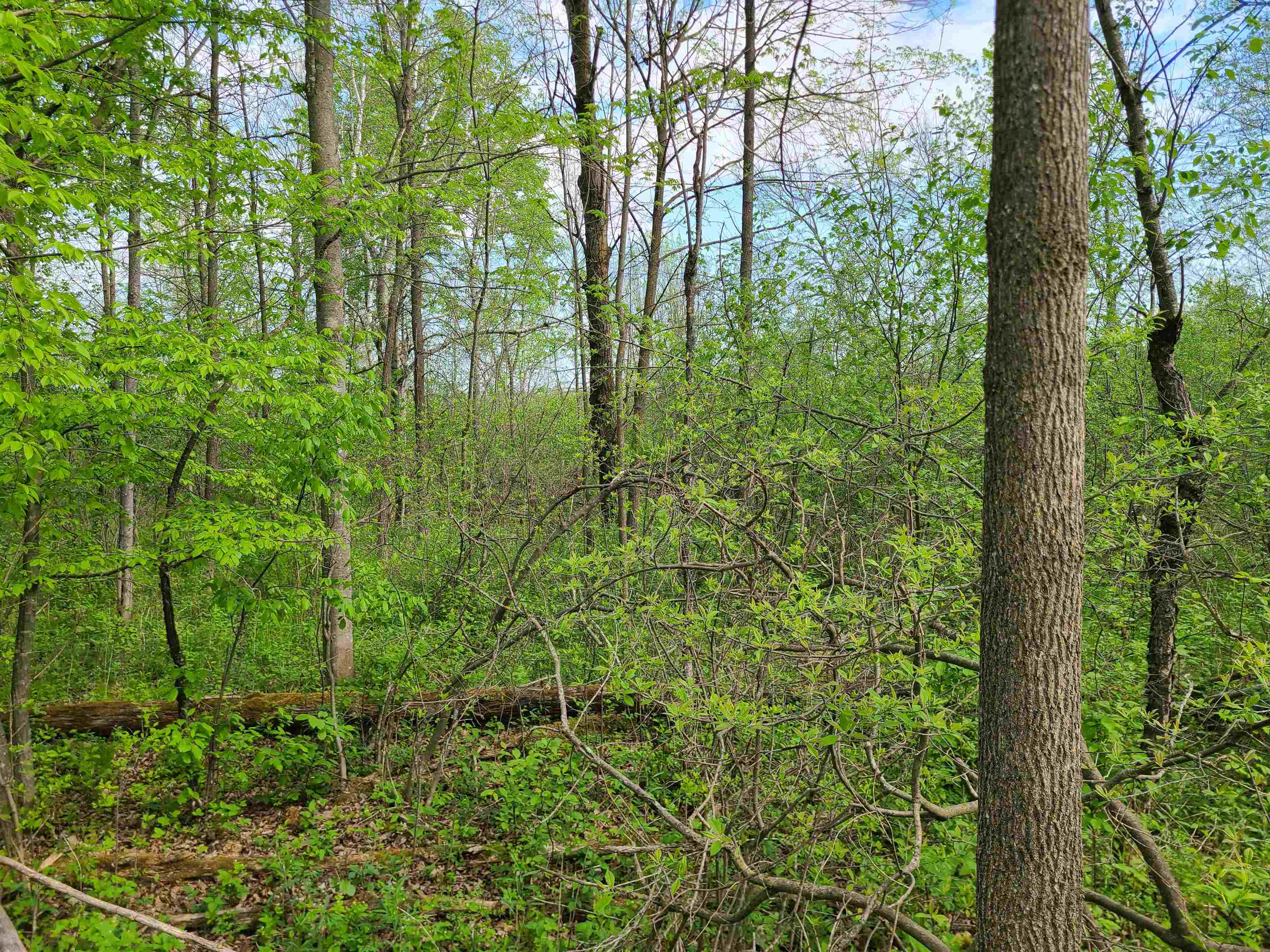 186TH AVENUE, Boyd, Wisconsin 54726, ,Land,For Sale,186TH AVENUE,22501960