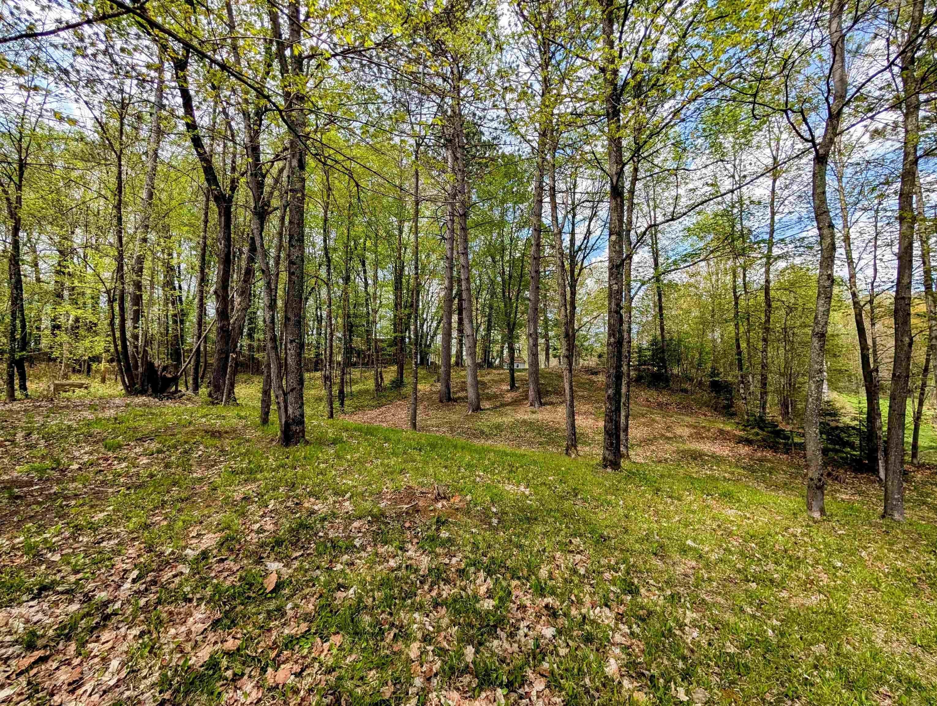 23674 HIGHWAY 13, Glidden, Wisconsin 54527, 2 Bedrooms Bedrooms, ,1 BathroomBathrooms,Residential,For Sale,23674 HIGHWAY 13,22501982