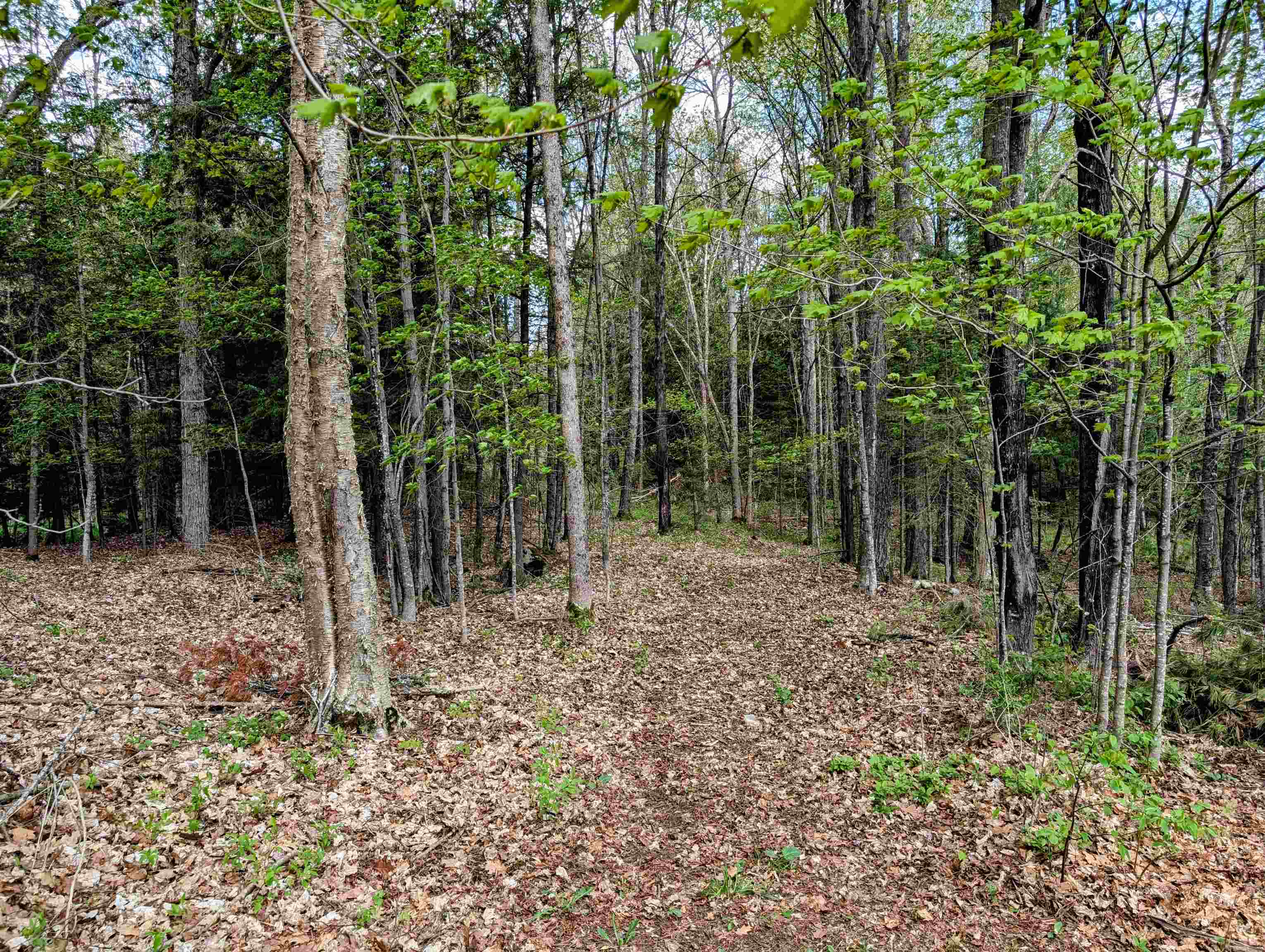 23674 HIGHWAY 13, Glidden, Wisconsin 54527, 2 Bedrooms Bedrooms, ,1 BathroomBathrooms,Residential,For Sale,23674 HIGHWAY 13,22501982