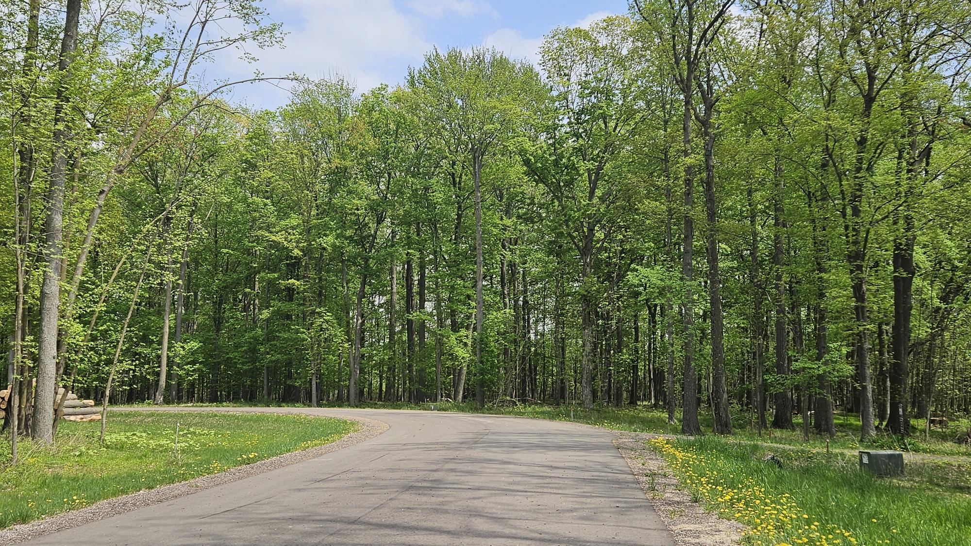 Lot 137 VICTORIA COURT, Hewitt, Wisconsin 54441, ,Land,For Sale,Lot 137 VICTORIA COURT,22501987