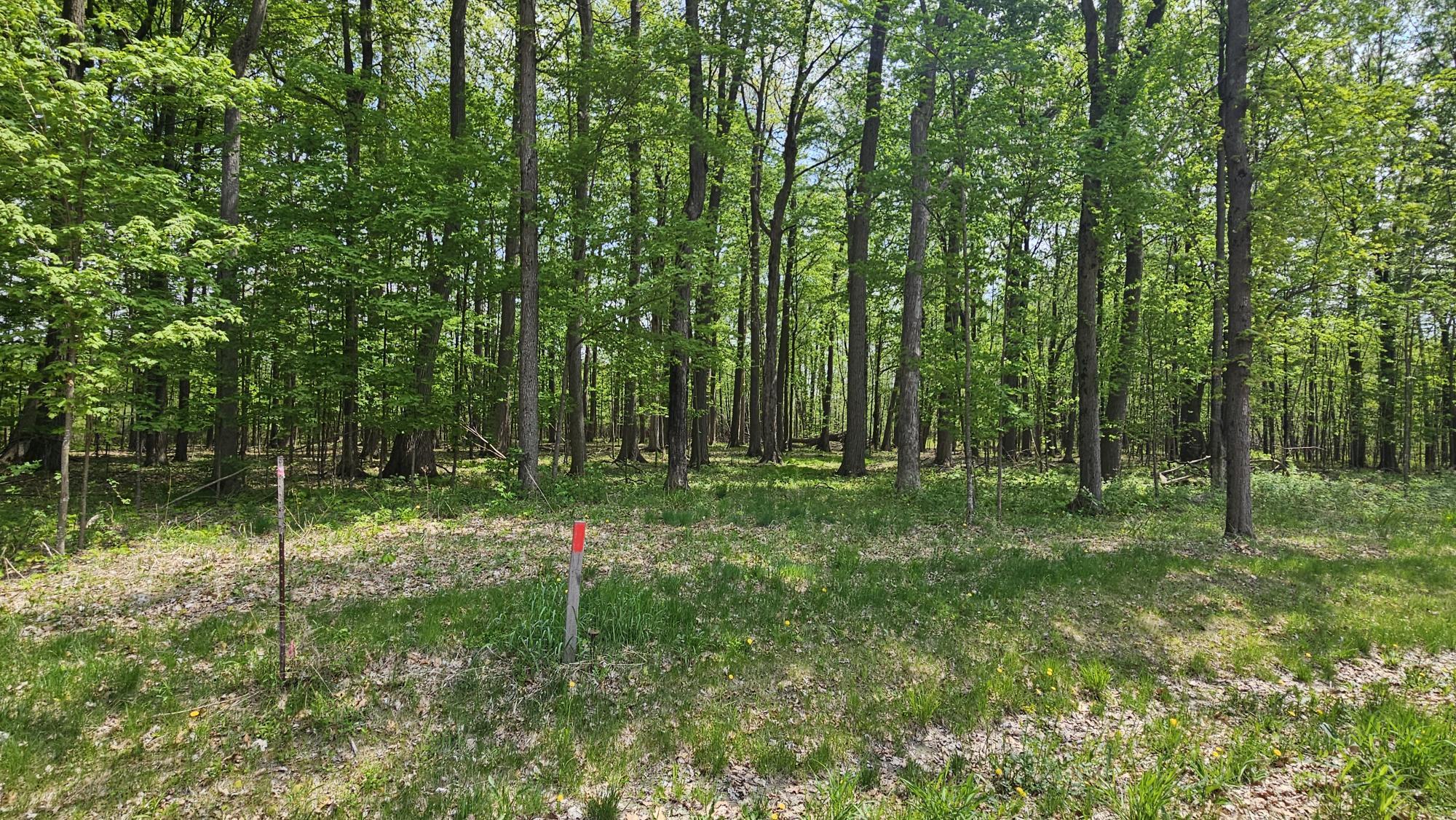 Lot 137 VICTORIA COURT, Hewitt, Wisconsin 54441, ,Land,For Sale,Lot 137 VICTORIA COURT,22501987