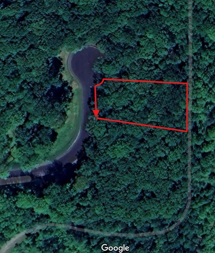 Lot 137 VICTORIA COURT, Hewitt, Wisconsin 54441, ,Land,For Sale,Lot 137 VICTORIA COURT,22501987