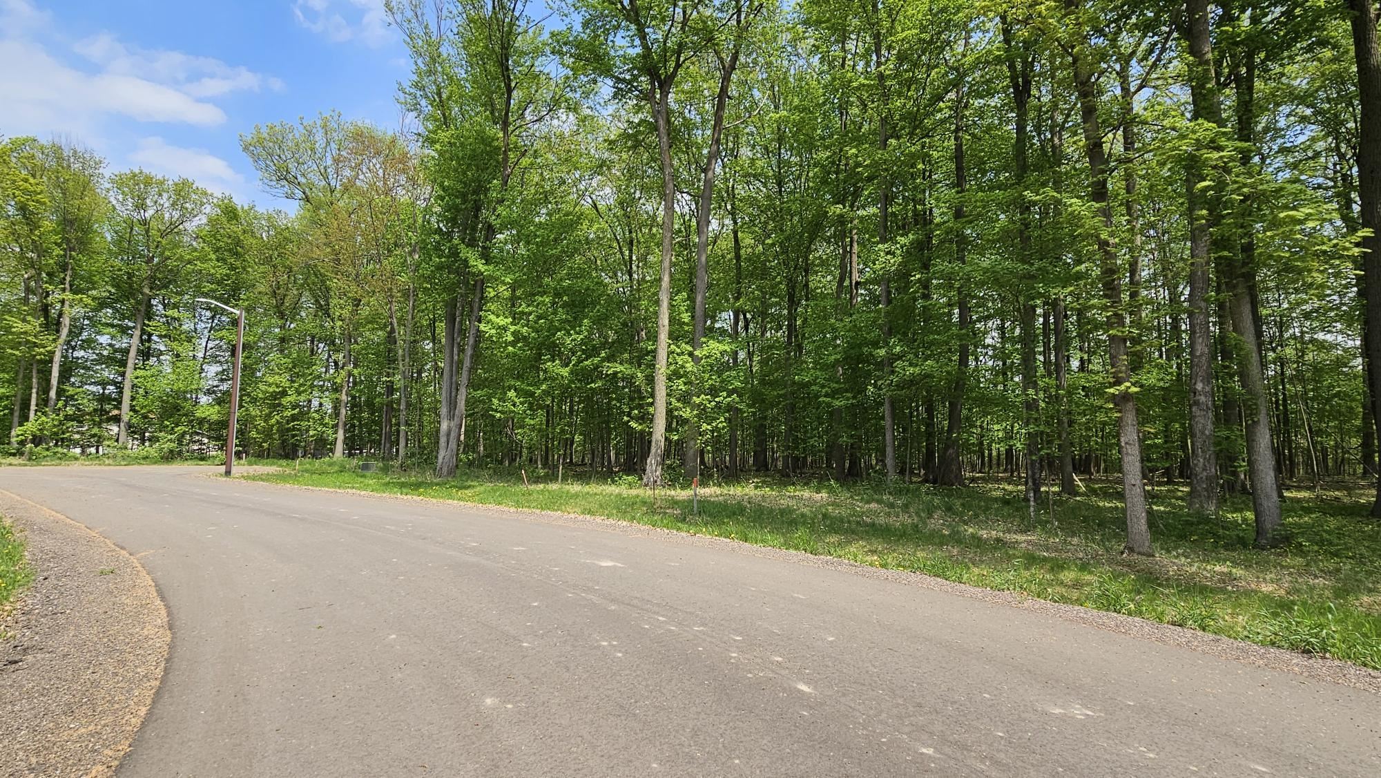 Lot 138 VICTORIA COURT, Hewitt, Wisconsin 54441, ,Land,For Sale,Lot 138 VICTORIA COURT,22501988