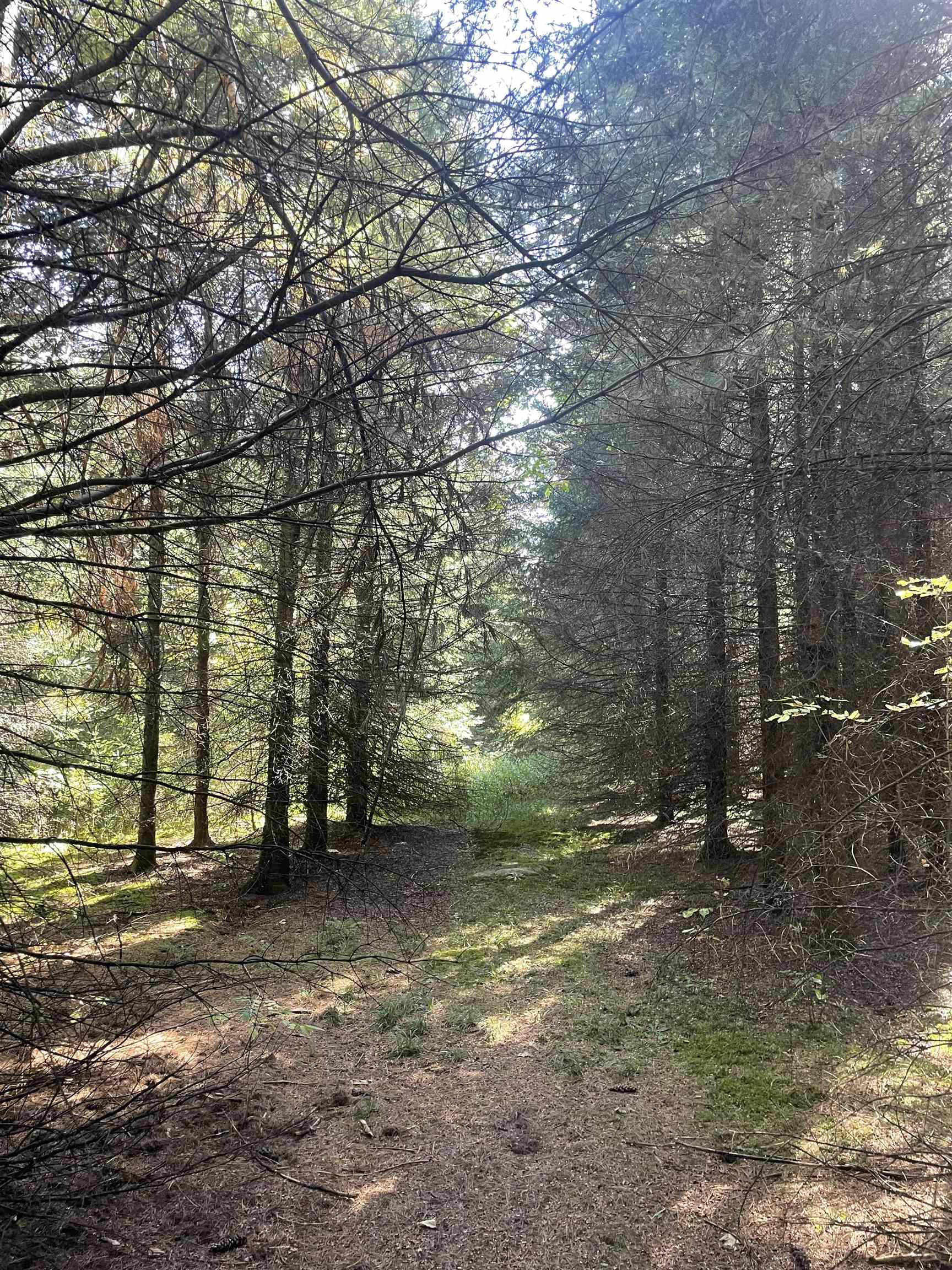 00 PREHN DRIVE, Merrill, Wisconsin 54452, ,Land,For Sale,00 PREHN DRIVE,22501997