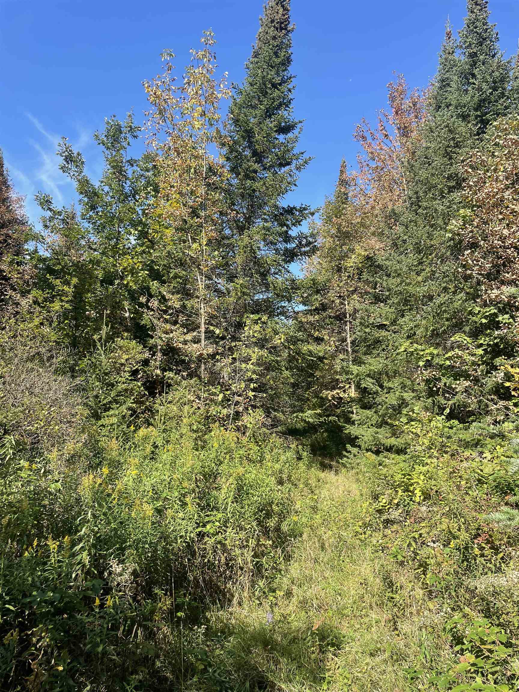 00 PREHN DRIVE, Merrill, Wisconsin 54452, ,Land,For Sale,00 PREHN DRIVE,22501997