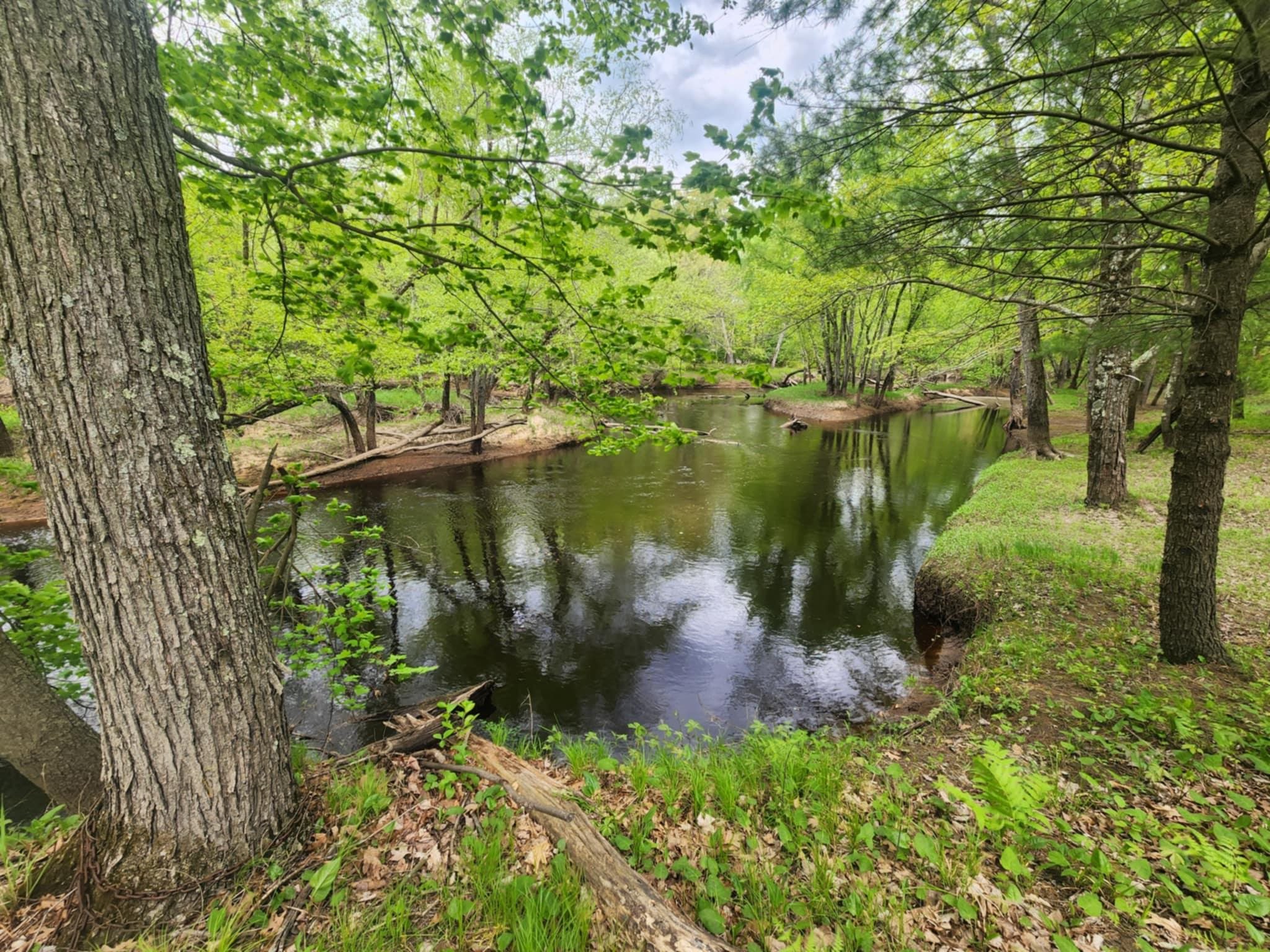 W306 OLD HIGHWAY 54, Pittsville, Wisconsin 54466, 3 Bedrooms Bedrooms, ,1 BathroomBathrooms,Residential,For Sale,W306 OLD HIGHWAY 54,22502017