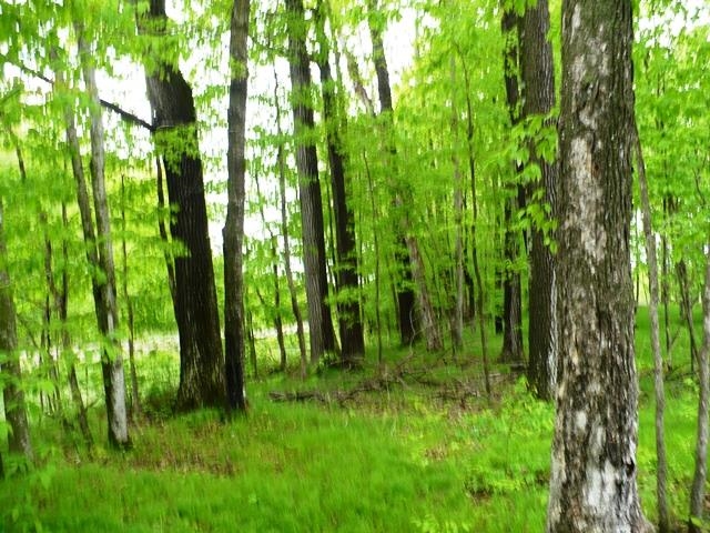 Sec 2 FISHER AVENUE, Neillsville, Wisconsin 54456, ,Land,For Sale,Sec 2 FISHER AVENUE,22502093