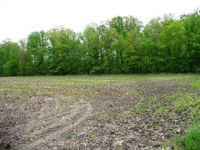 Sec 2 FISHER AVENUE, Neillsville, Wisconsin 54456, ,Land,For Sale,Sec 2 FISHER AVENUE,22502093