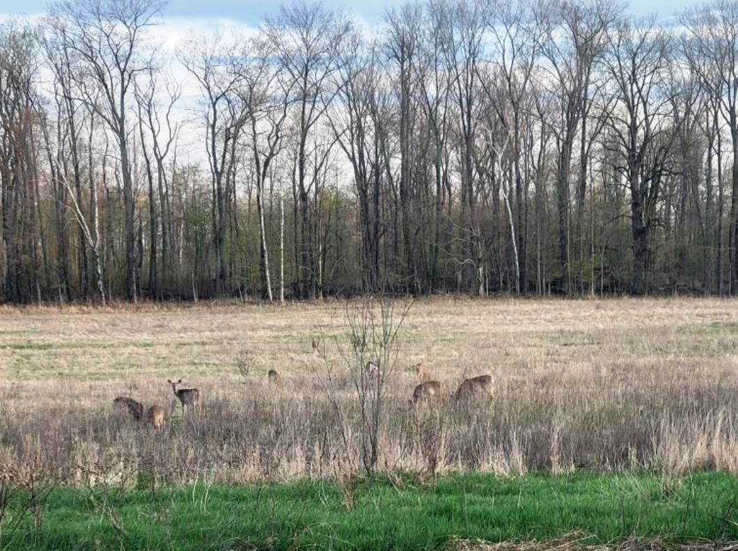 Sec 2 FISHER AVENUE, Neillsville, Wisconsin 54456, ,Land,For Sale,Sec 2 FISHER AVENUE,22502093