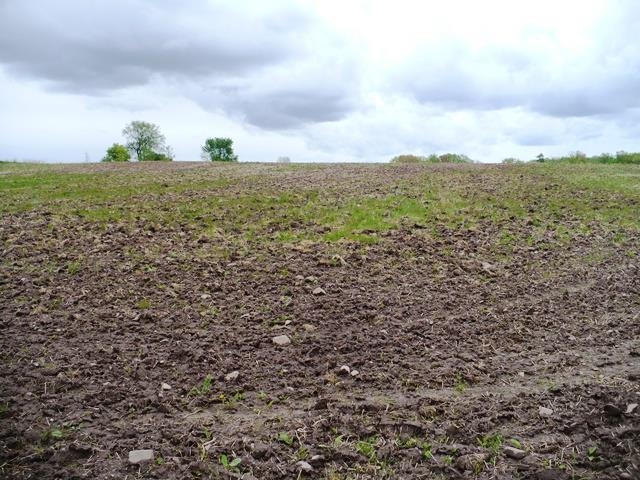 Sec 2 FISHER AVENUE, Neillsville, Wisconsin 54456, ,Land,For Sale,Sec 2 FISHER AVENUE,22502093