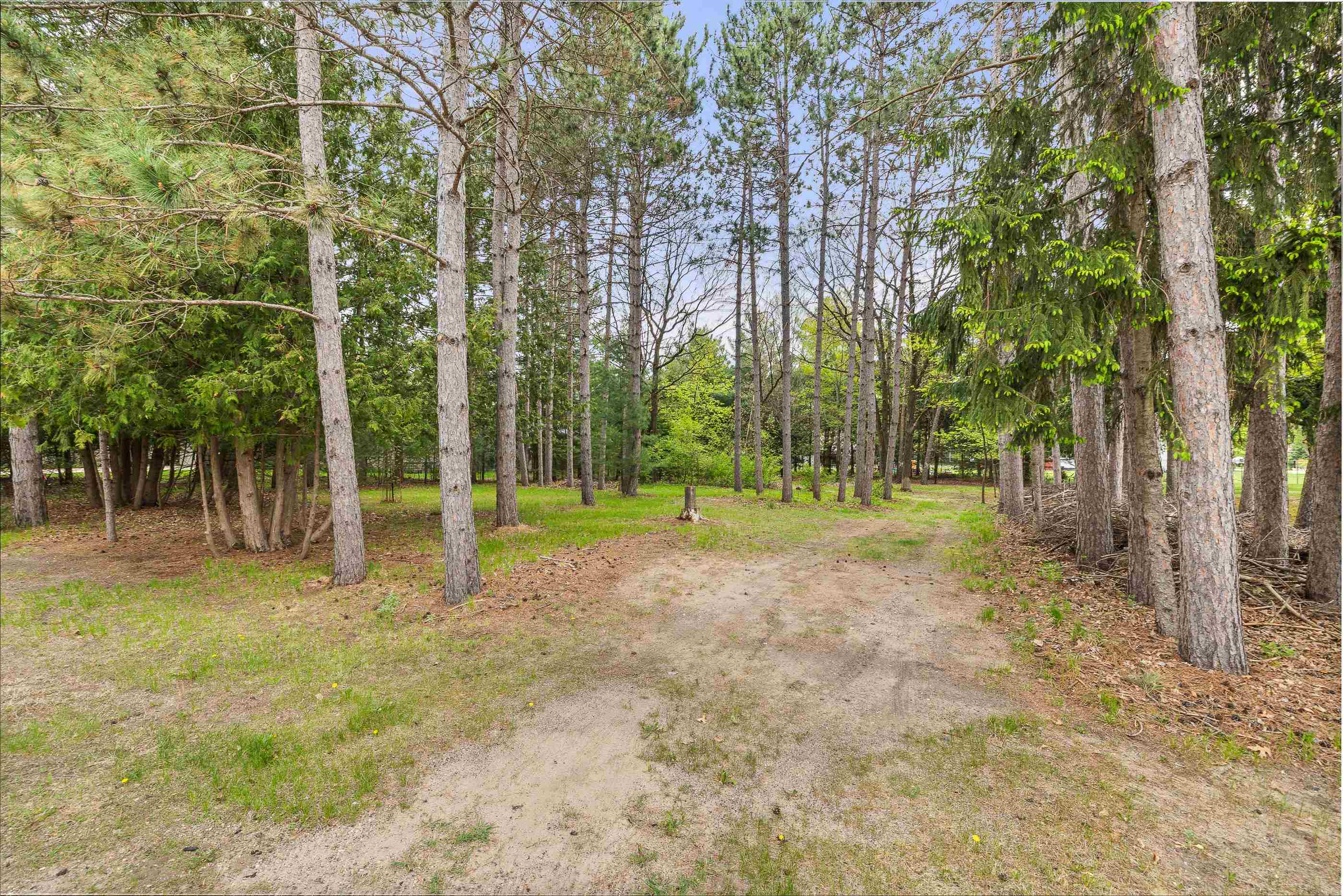 Lot 1 ALDER STREET, Stevens Point, Wisconsin 54481, ,Land,For Sale,Lot 1 ALDER STREET,22502096