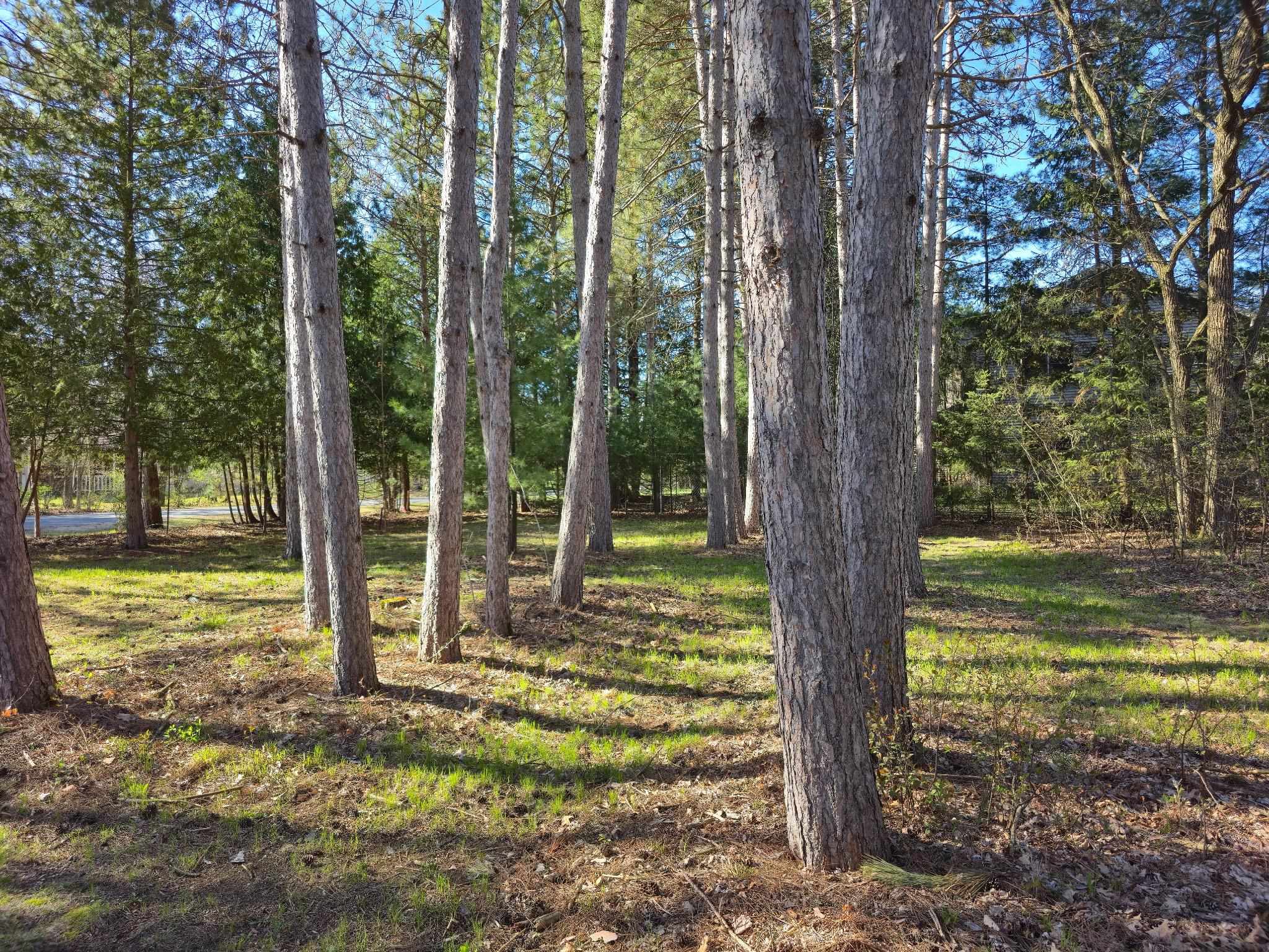 Lot 1 ALDER STREET, Stevens Point, Wisconsin 54481, ,Land,For Sale,Lot 1 ALDER STREET,22502096